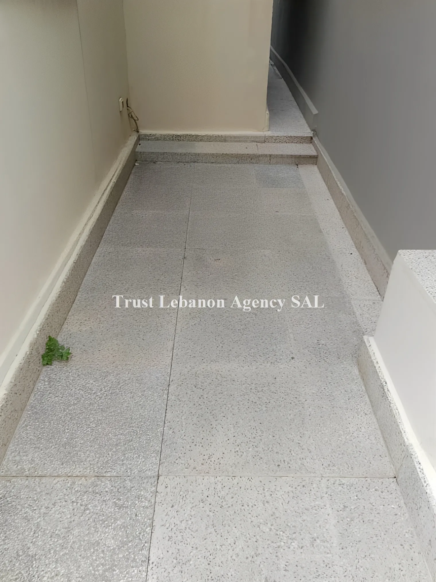 Apartment for Rent in Ashrafieh Beirut Lebanon