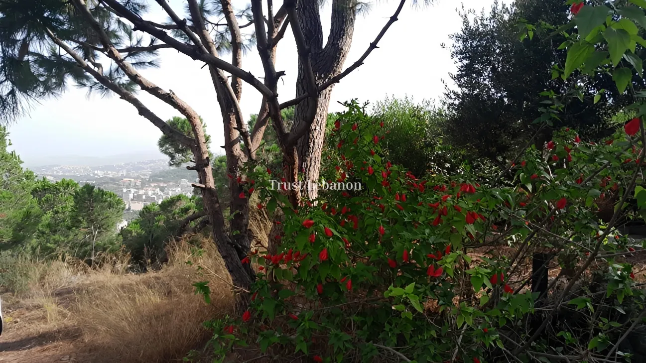Residential Land for sale in Ain Saadeh, Lebanon