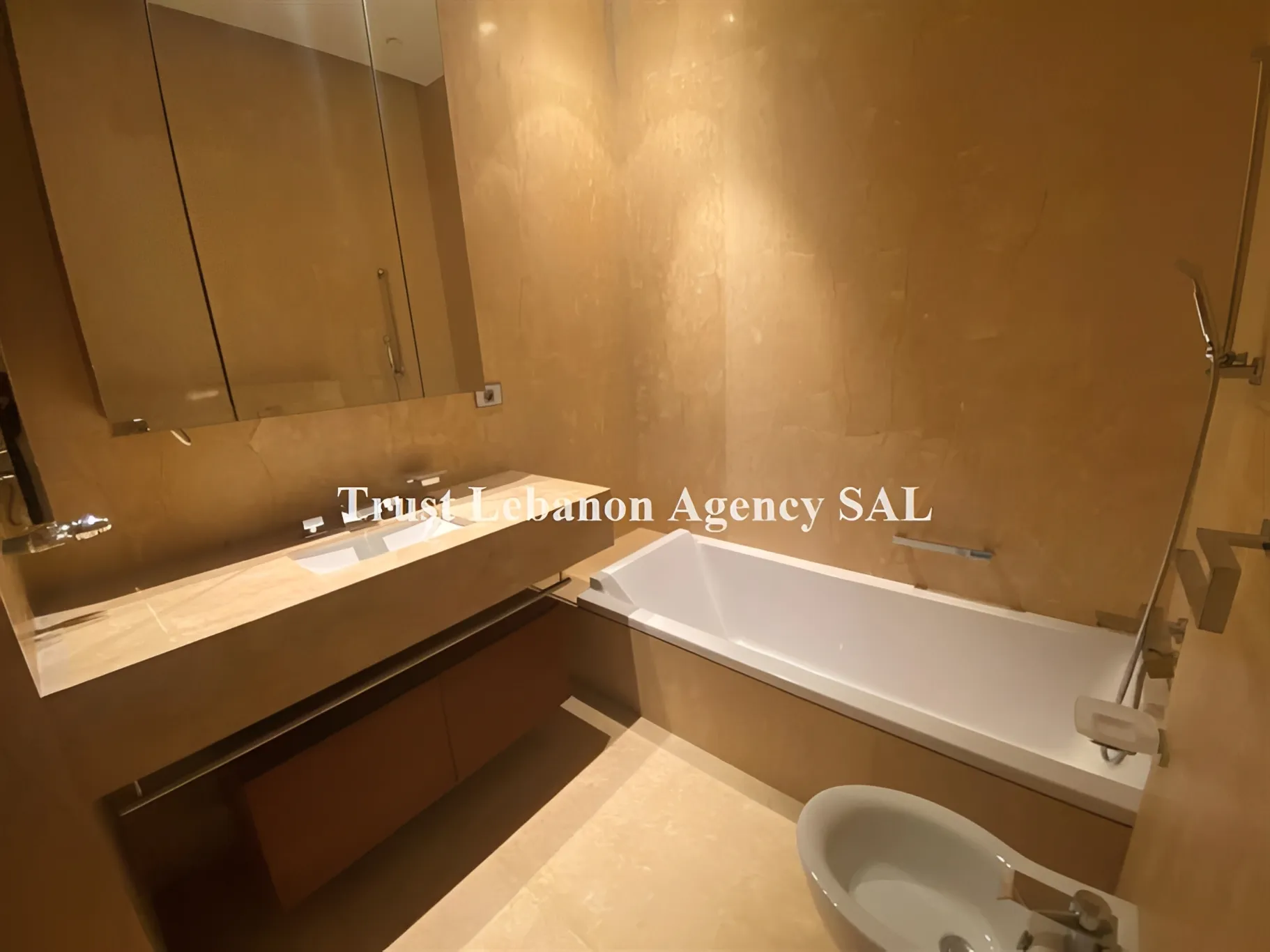 Apartment for Sale in Ashrafieh Beirut Lebanon