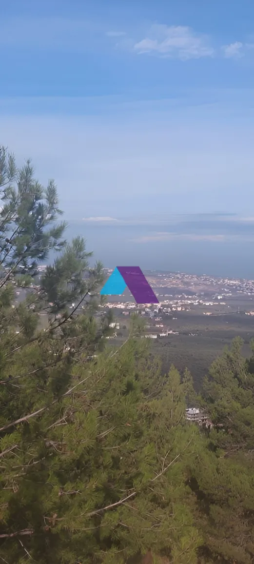 Land for Sale in Koura