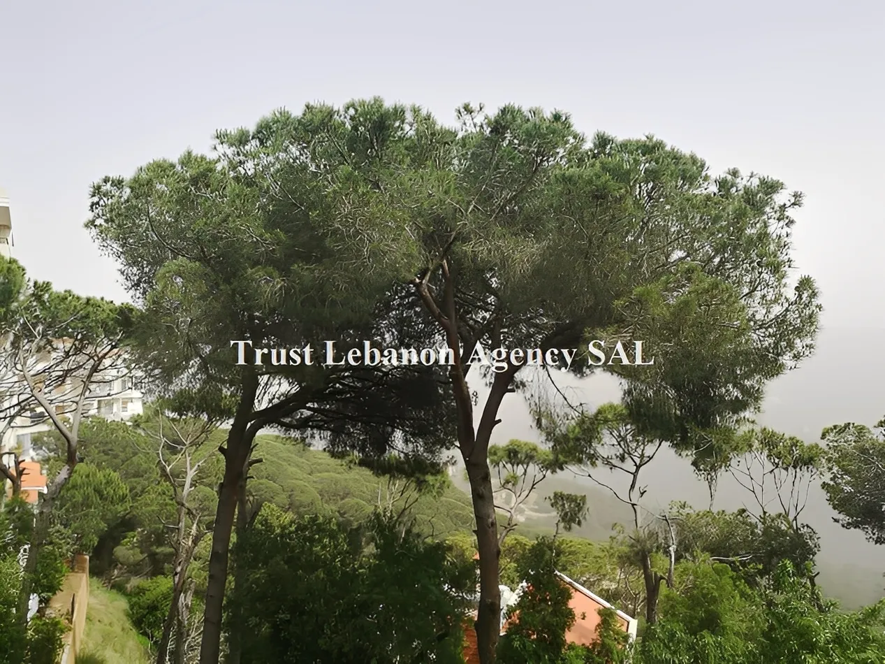 Apartment for Sale in Metn Broumana ُEl Ghabeh Lebanon - 2 bed, 2 bath