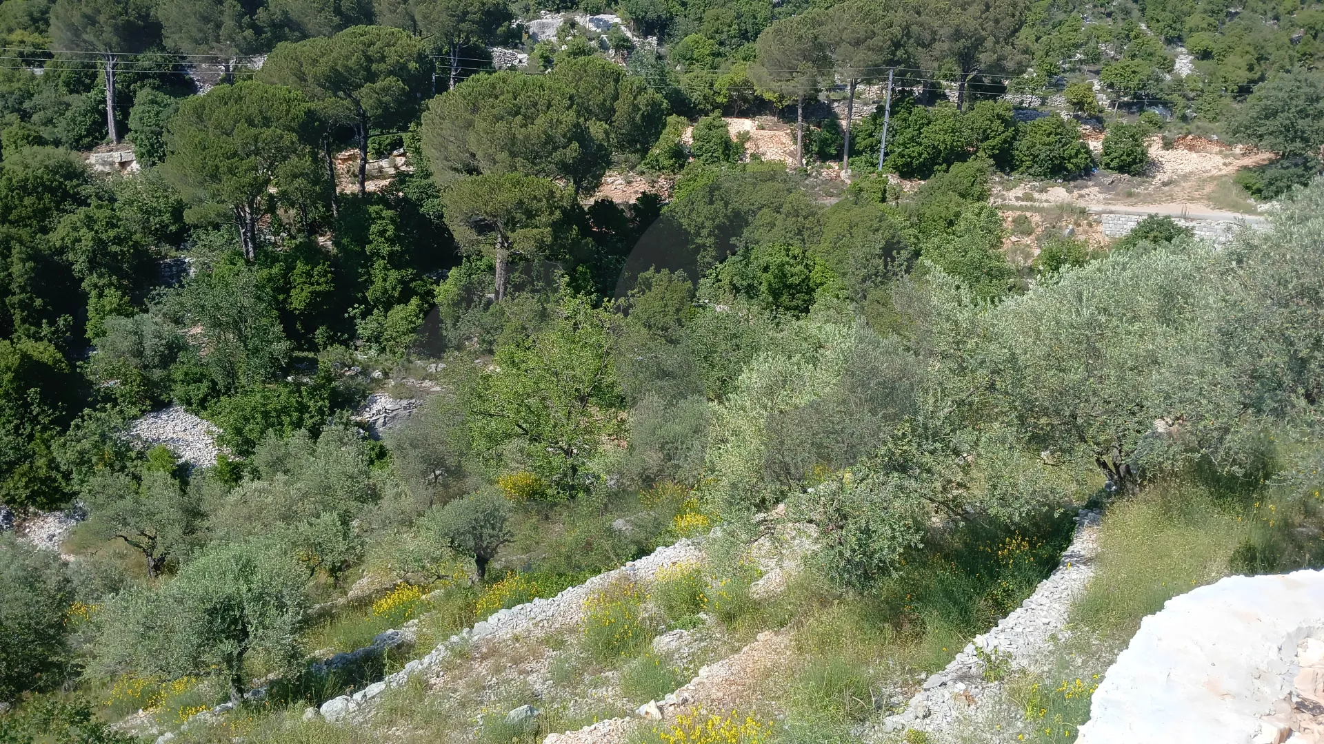 Land for Sale in Batroun