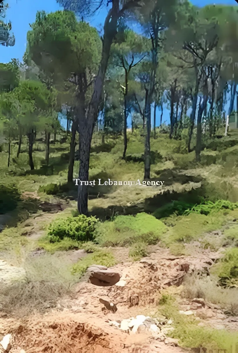 Land for Sale in Metn Douar Lebanon