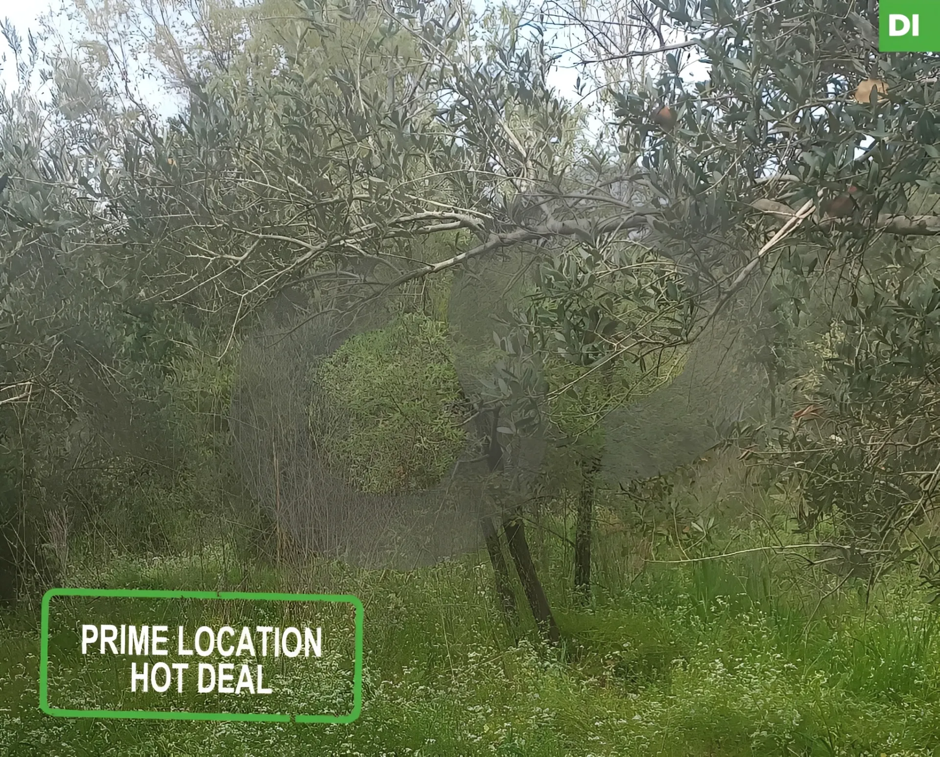 Land for Sale in Dibbiyeh, Lebanon