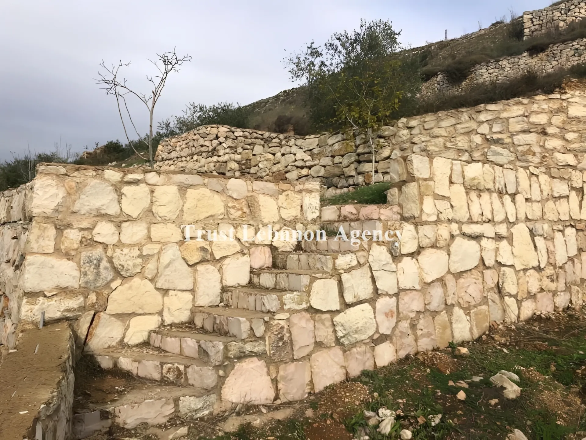 Land for Sale in Nabatiye, Ain qana