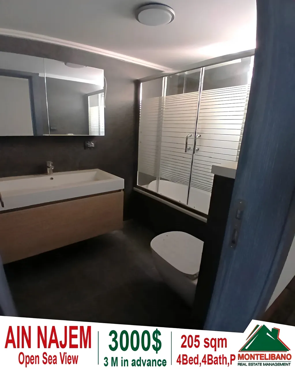 Apartment for rent in Ain Saadeh, Lebanon