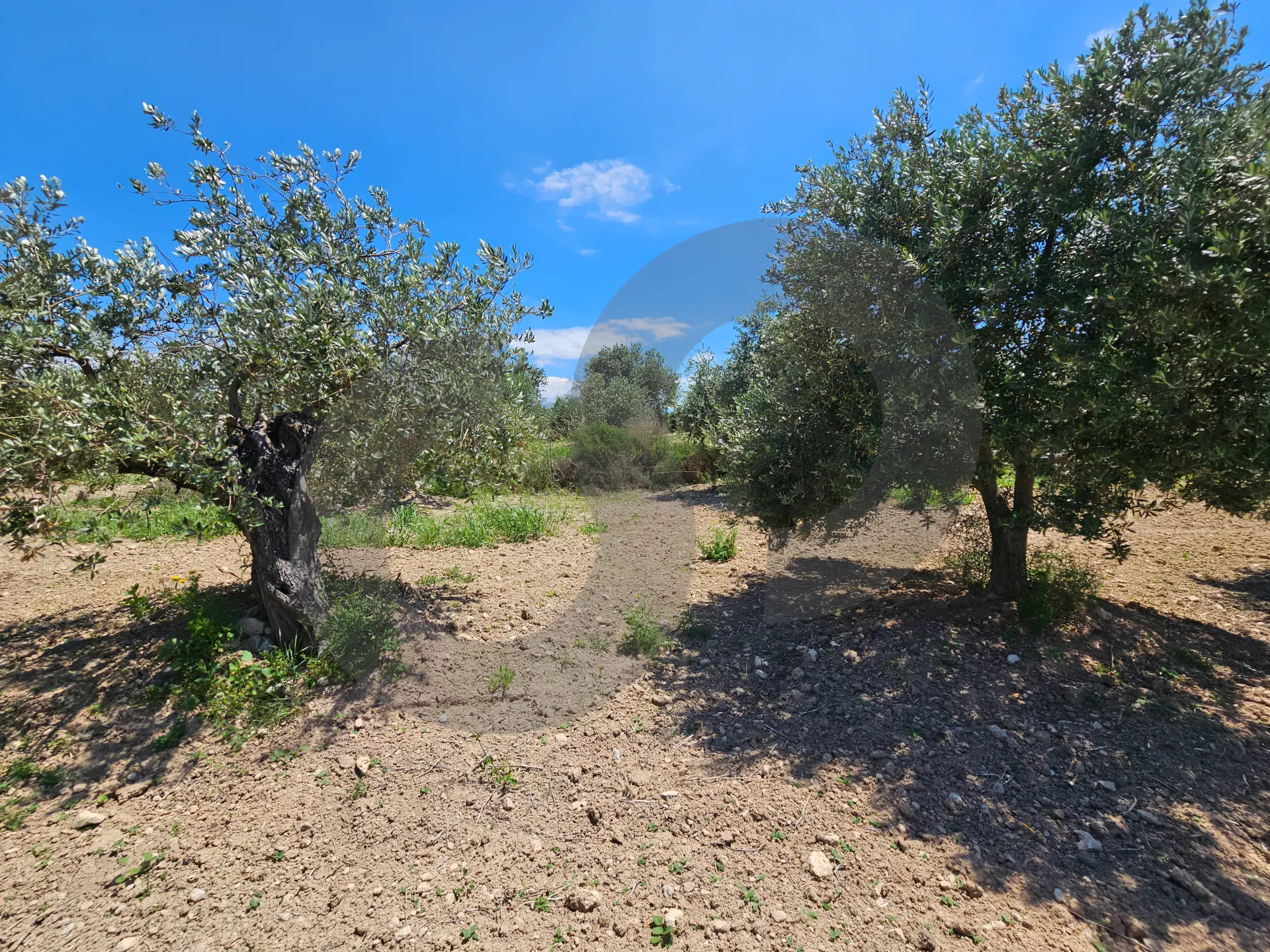 Land for Sale in Zgharta