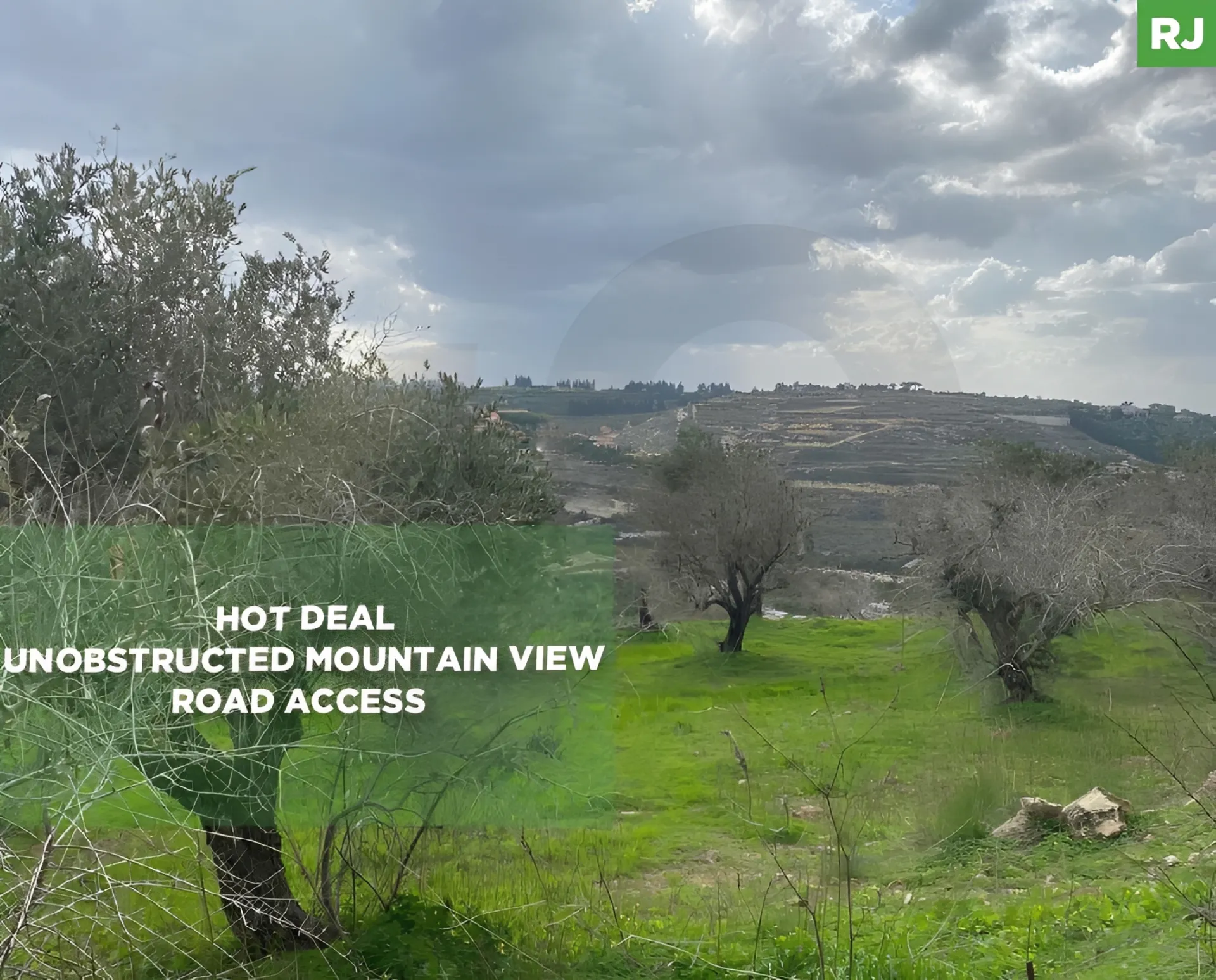 Land for Sale in Aabbasiyyeh, Lebanon