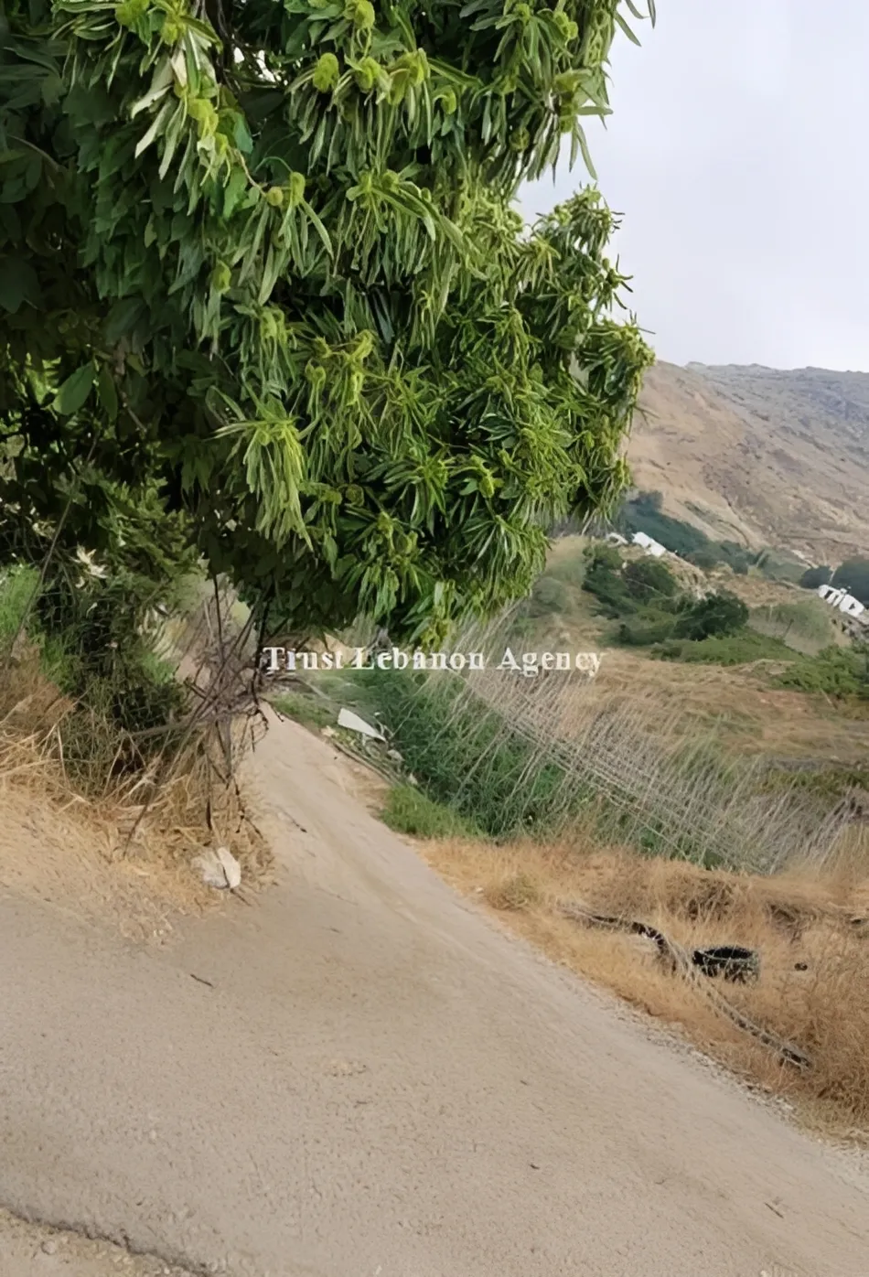Land for Sale in Keserwan Amez