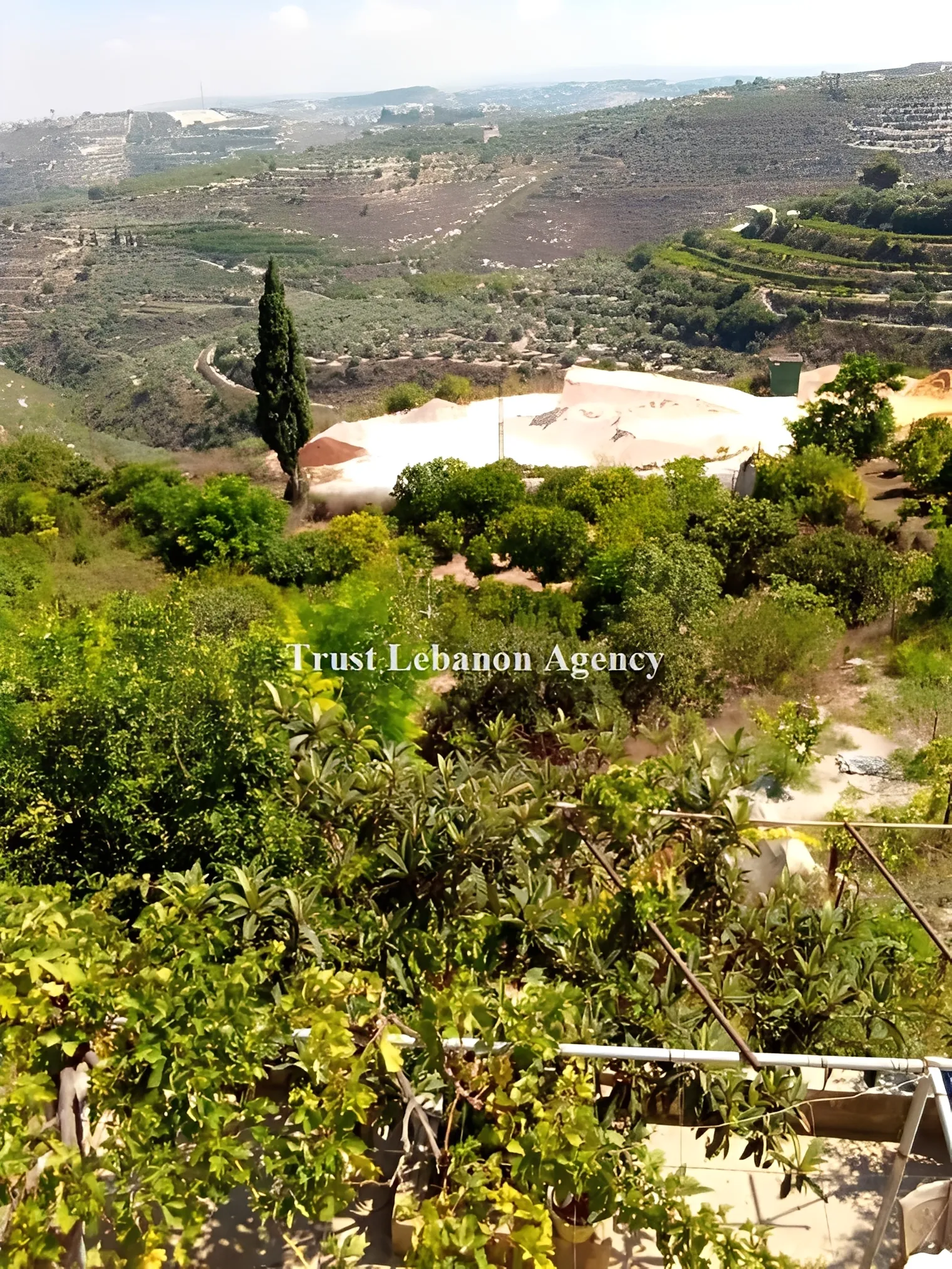 Land for Sale in Sidon, Maghdouche