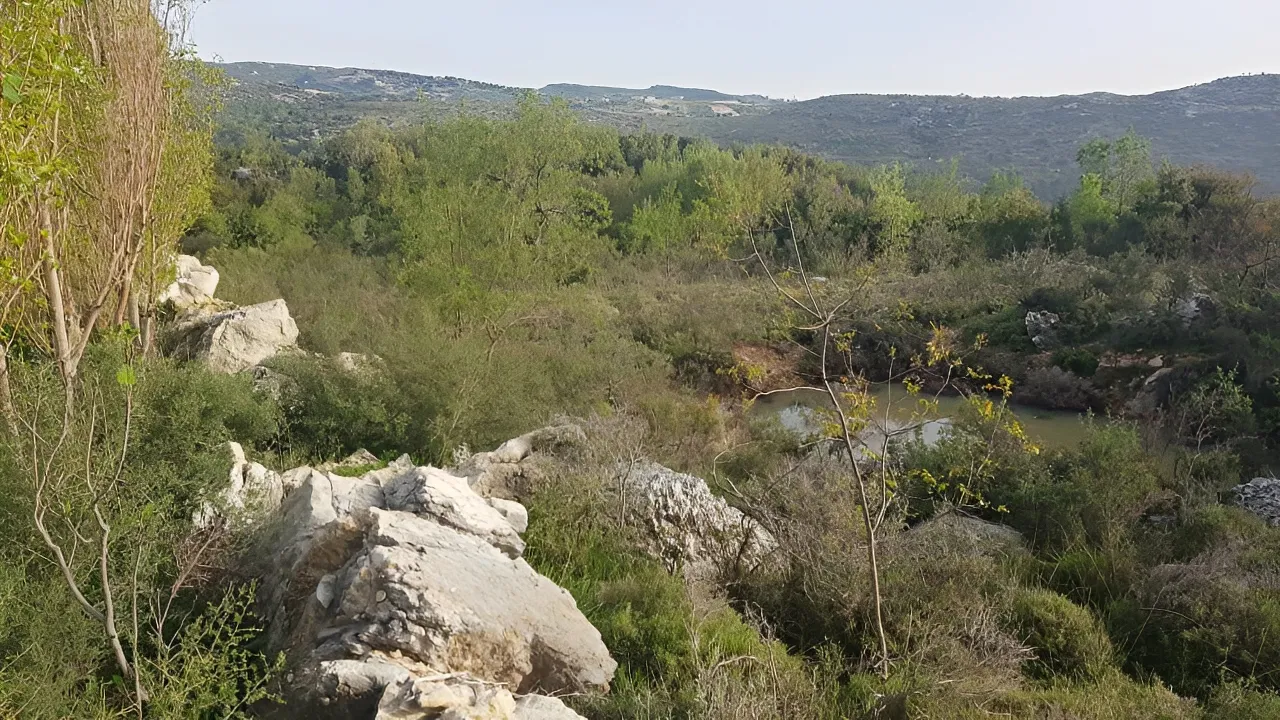 Land for Sale in Lehfed