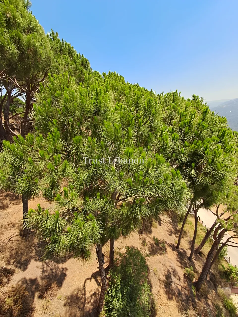 Residential Land for sale in Broummana, Lebanon