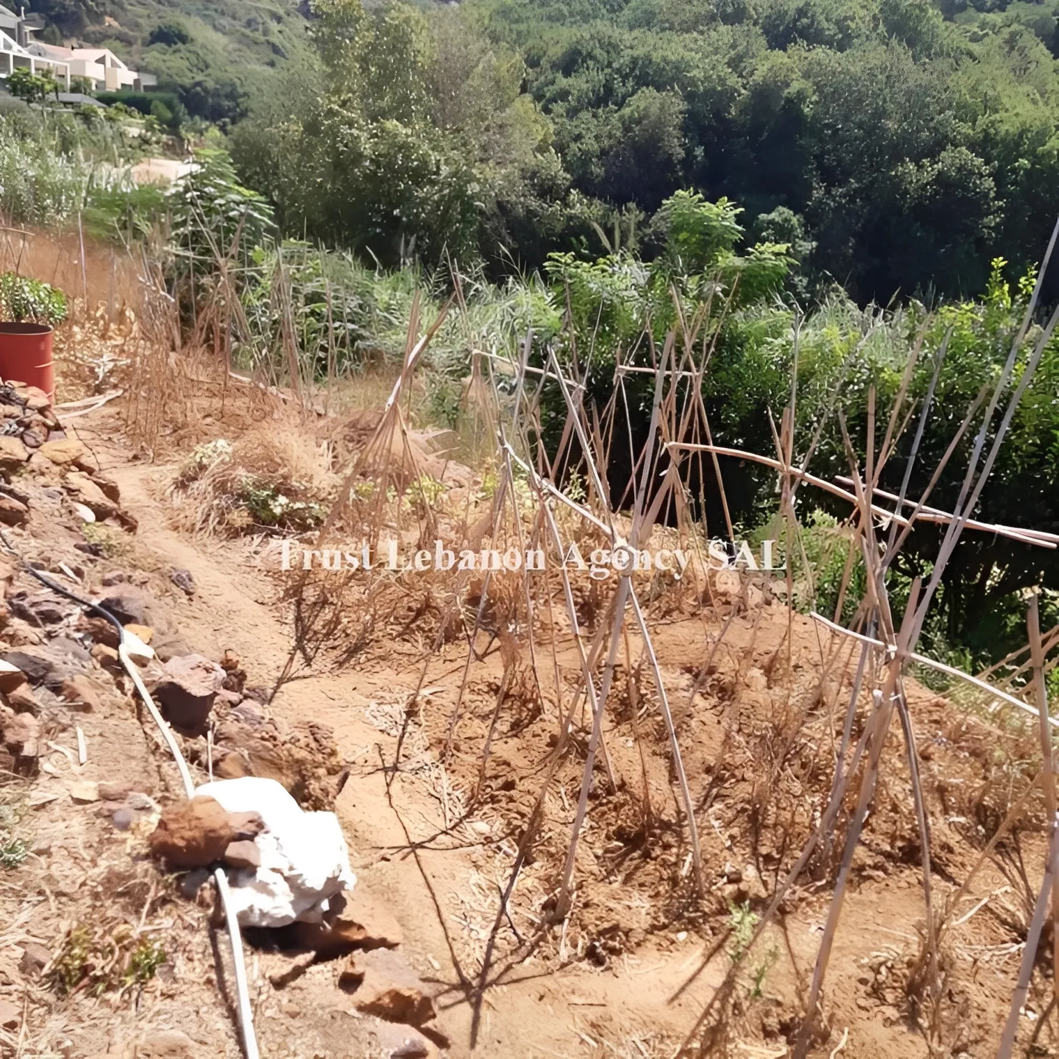 Land for Sale in Alay, kahale