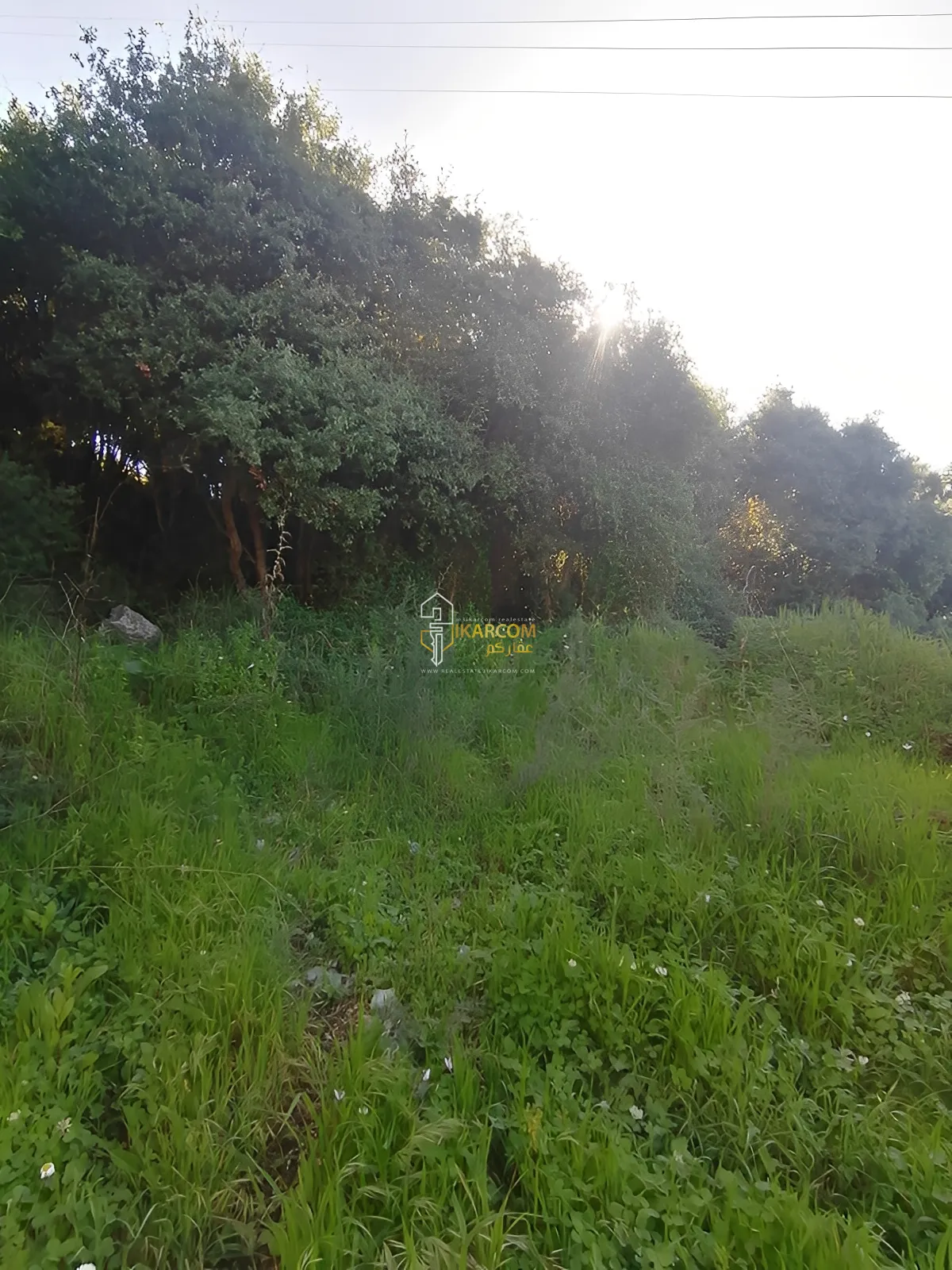 Land for Sale in Adma
