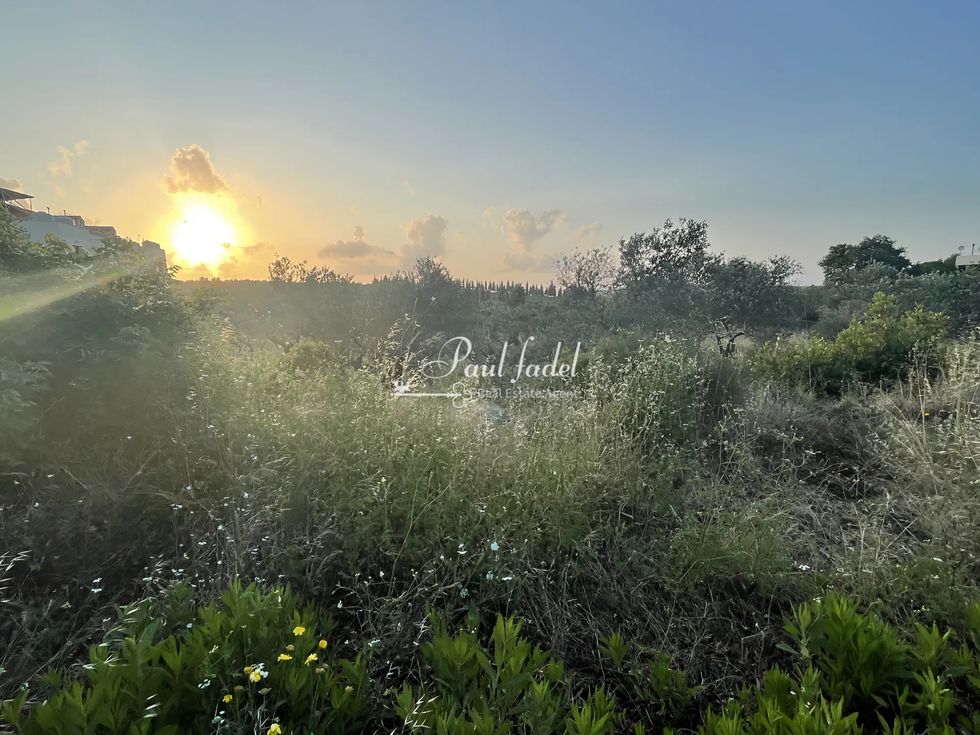 Land for sale in Batroun, lebanon