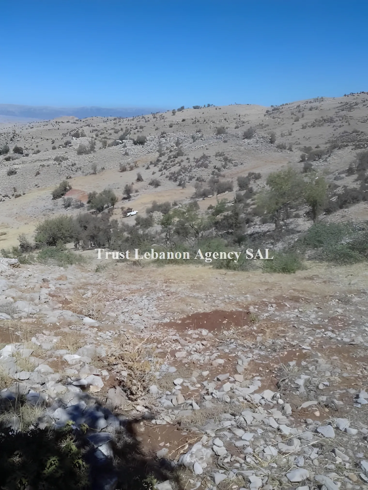 Land for Sale in Rashaya