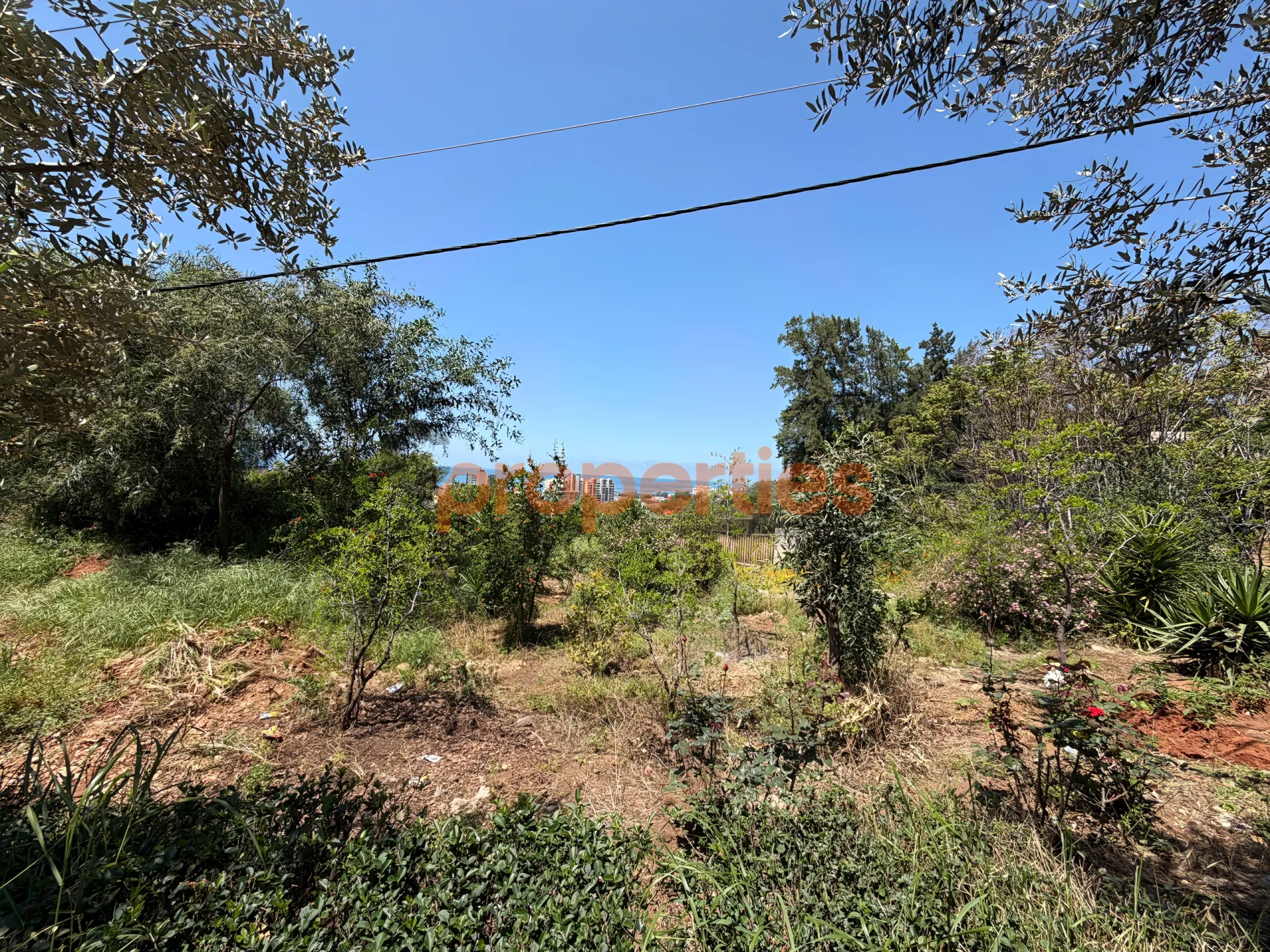 Residential Land for Sale in Naqqache