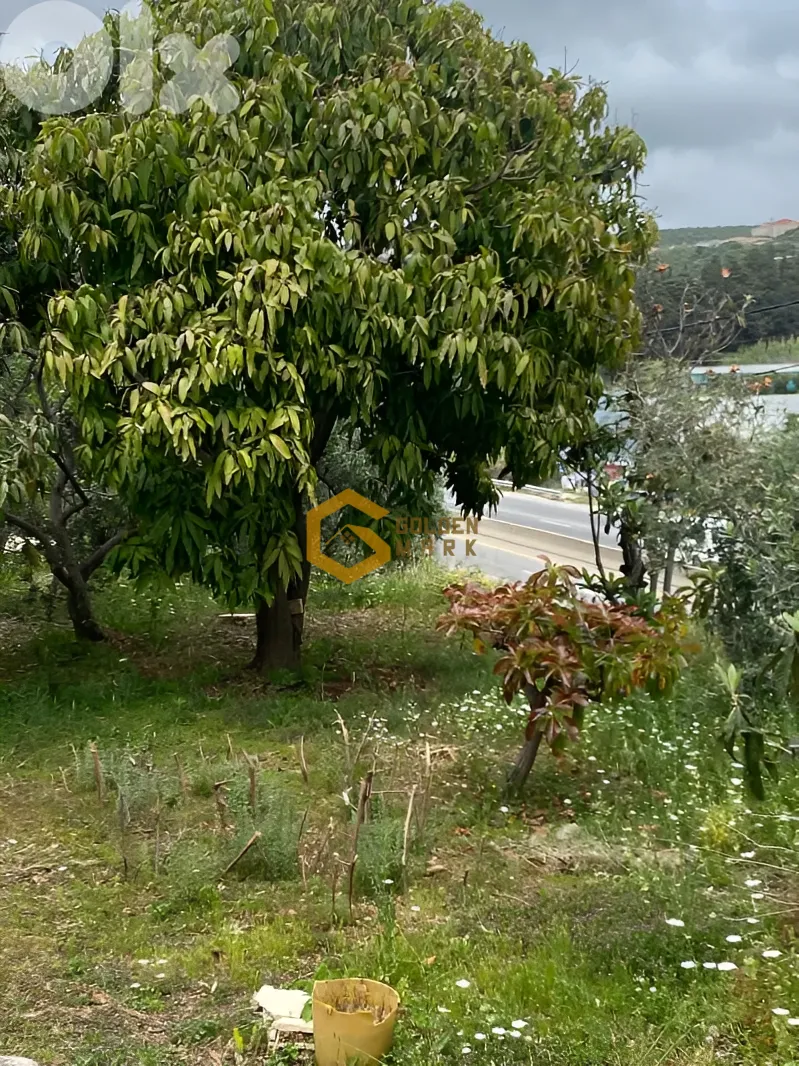 Land for Sale in Batroun