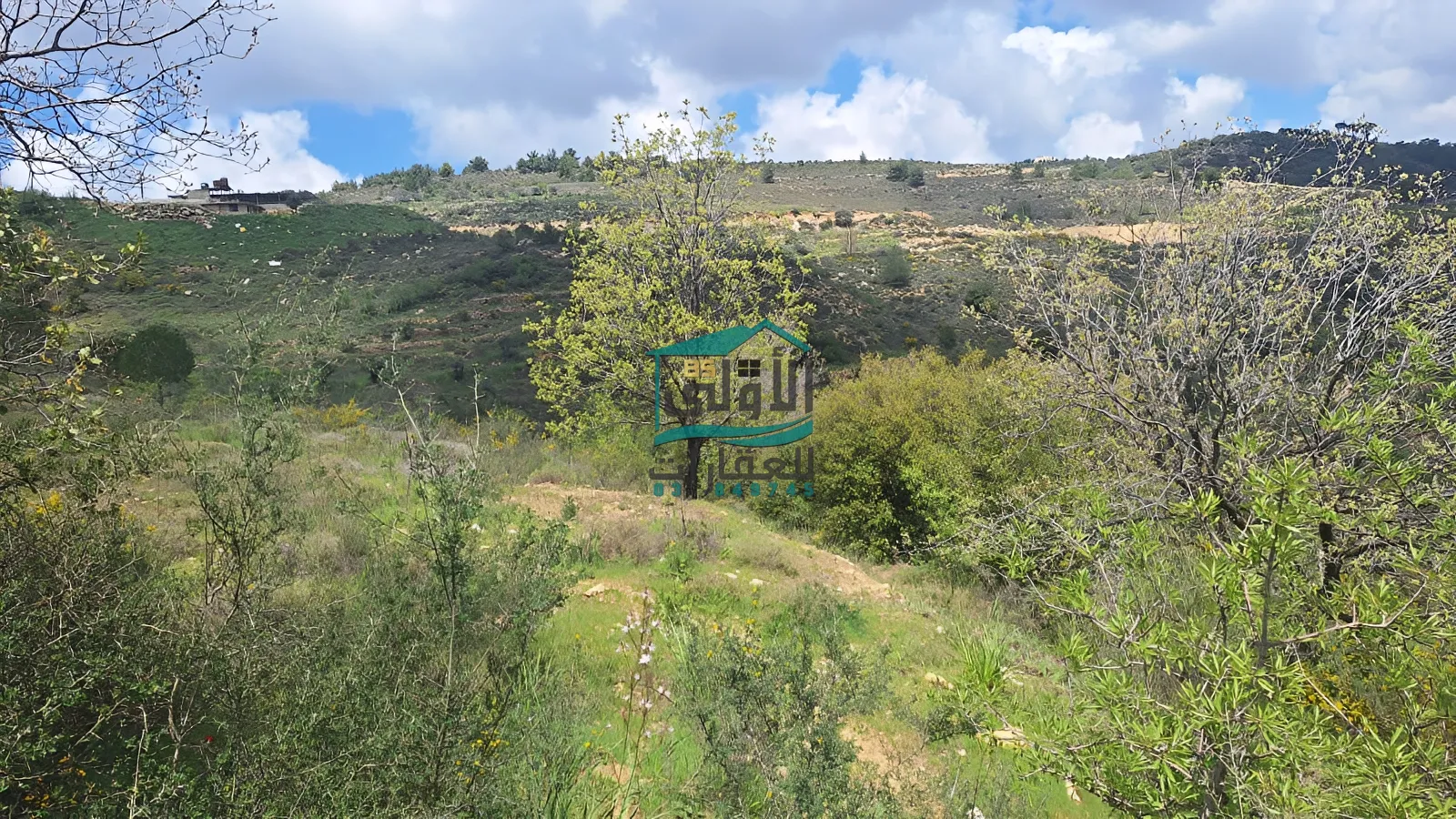 Land for sale in مزرعة الشوف، lebanon