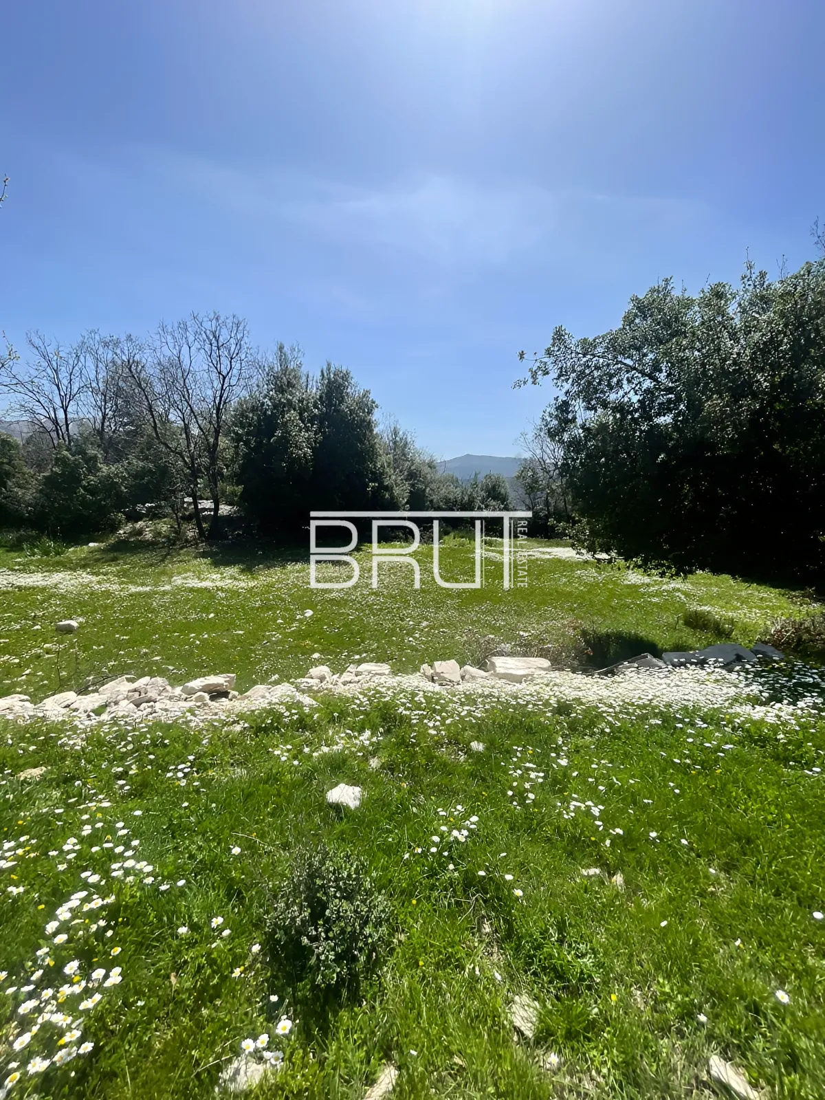 Land for Sale in Kfardebian