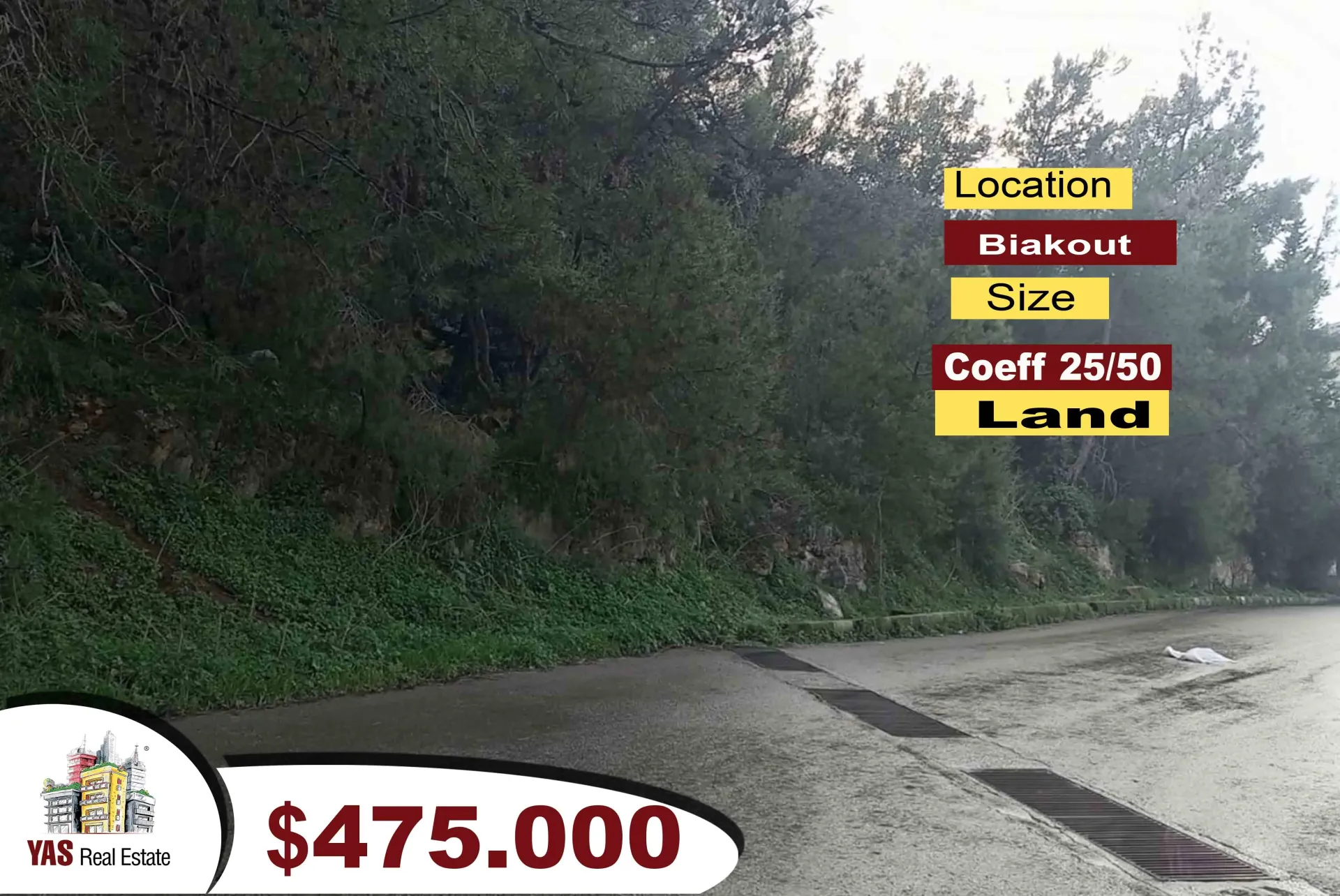 Land for Sale in Biaqout
