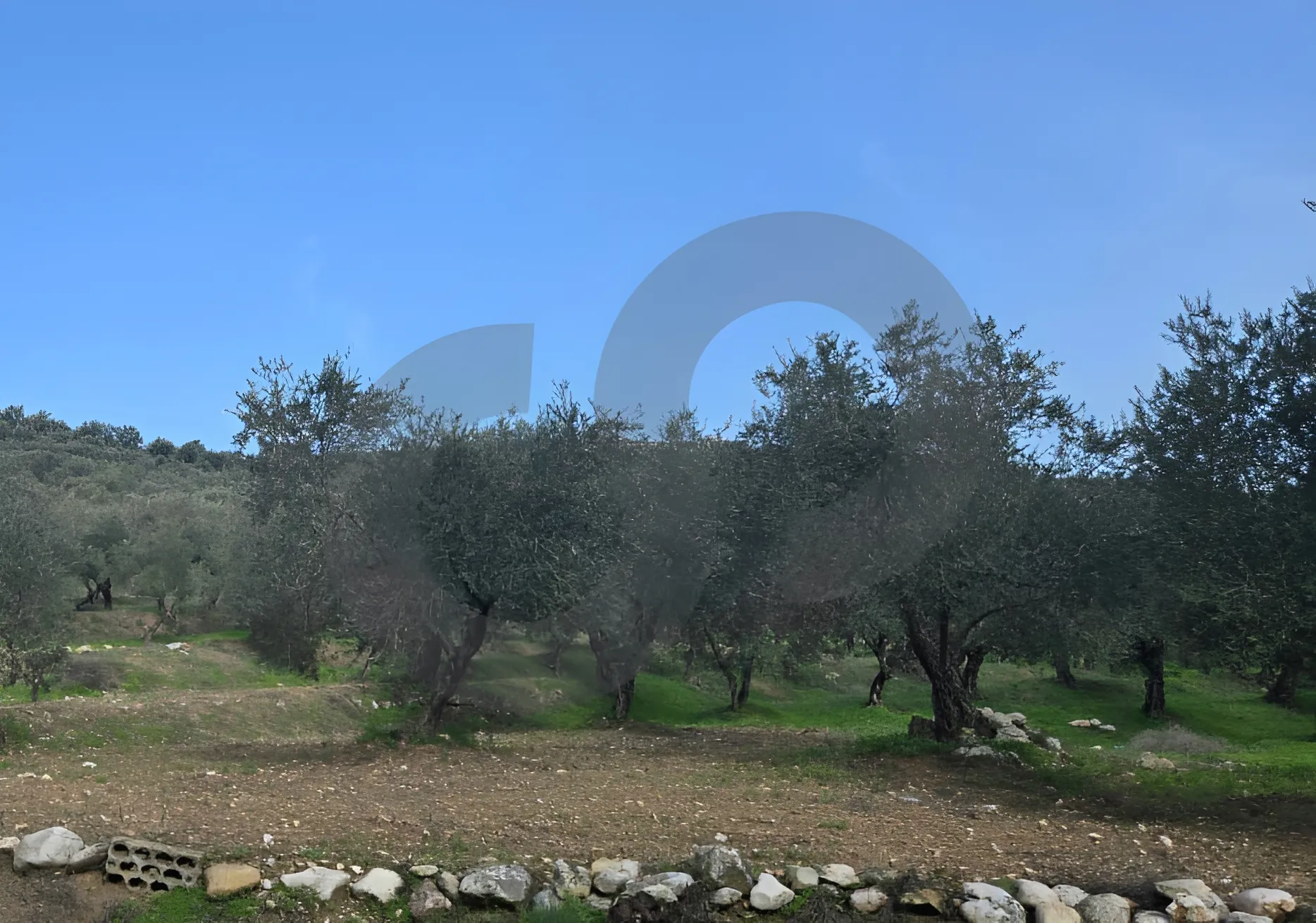 Land for Sale in Koura