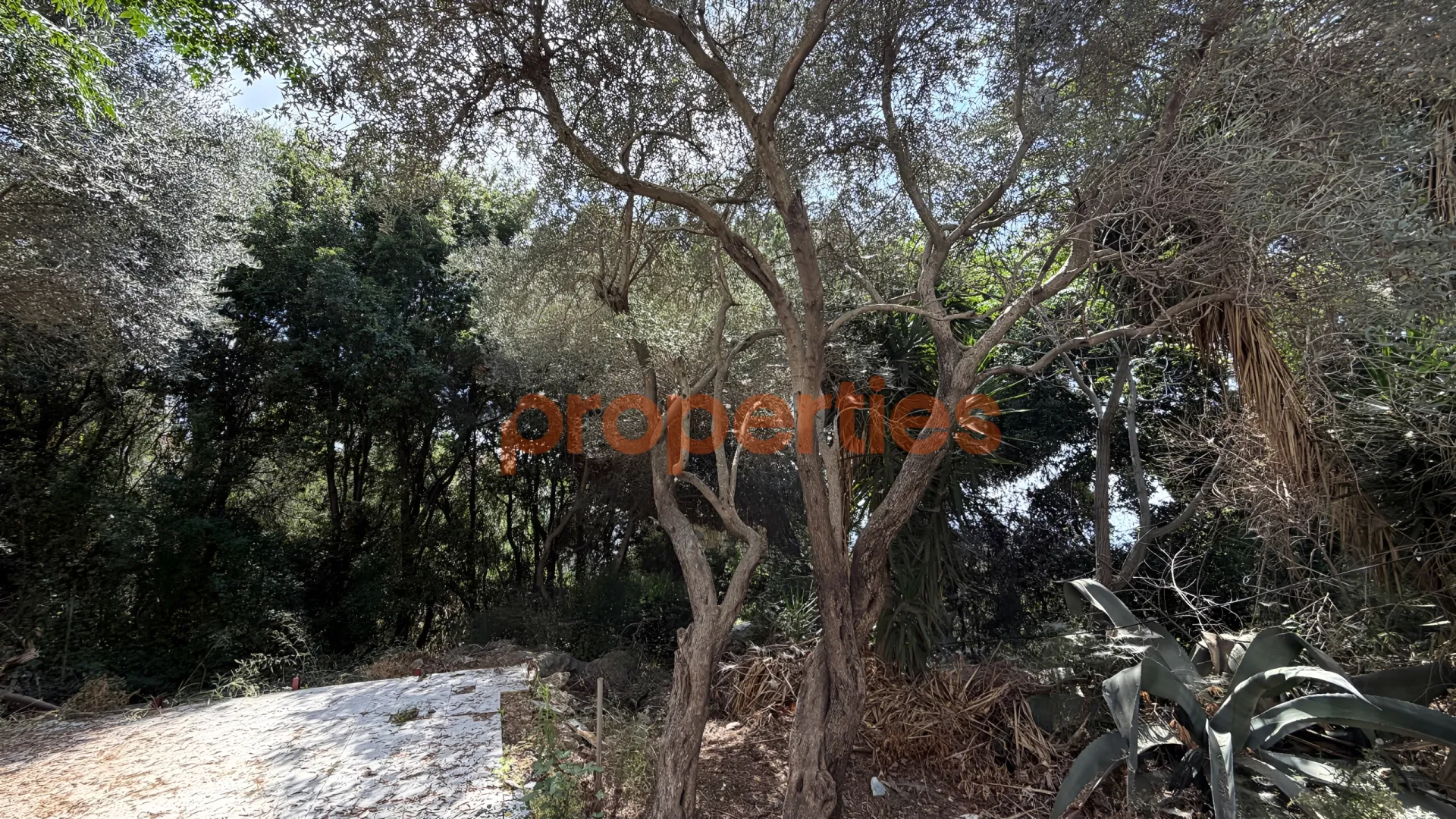 Residential Land for Sale in Ain Saadeh