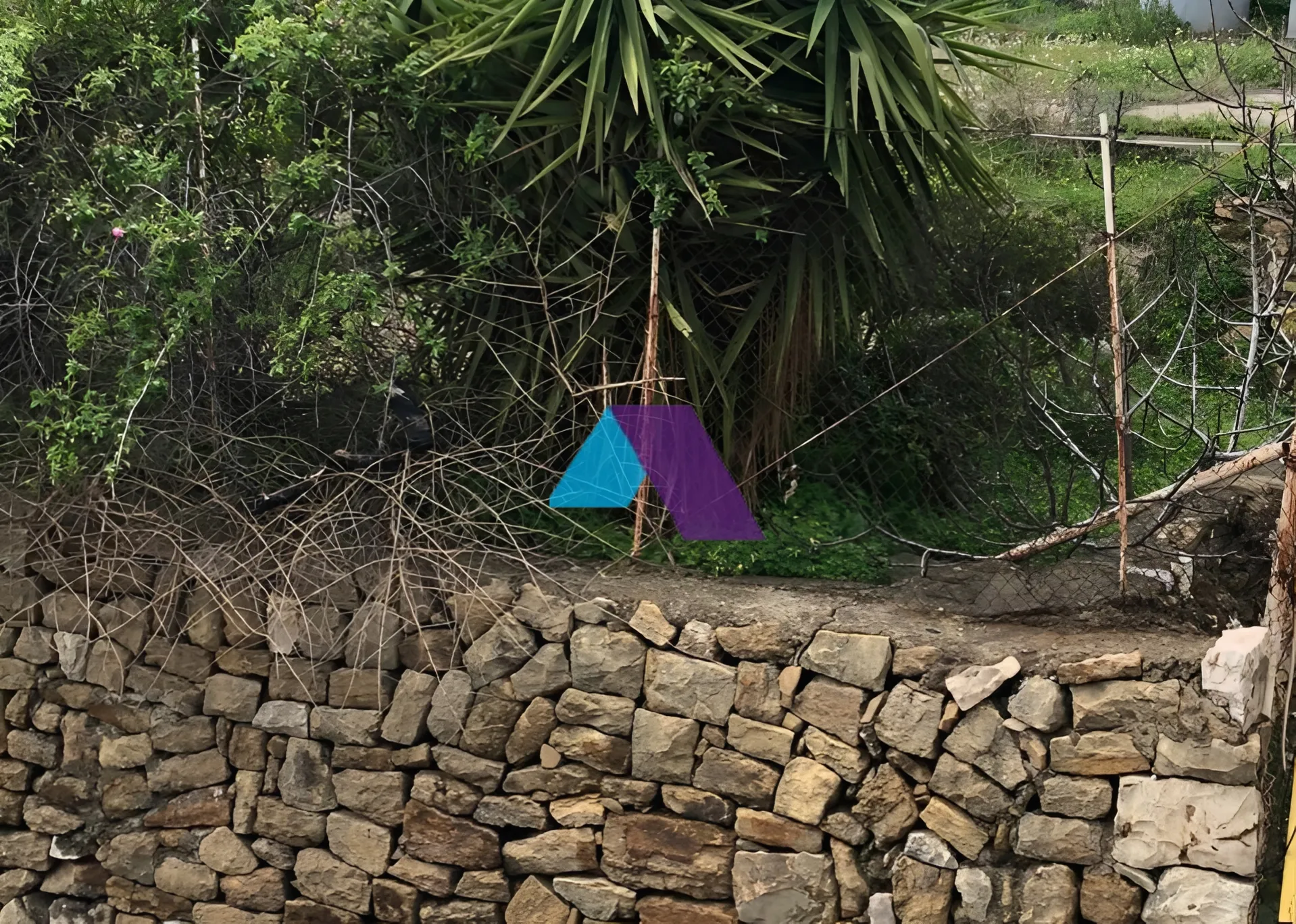Land for Sale in Beit Meri