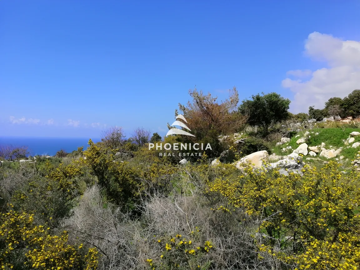 Land for sale in Chikhane, Jbeil, Lebanon