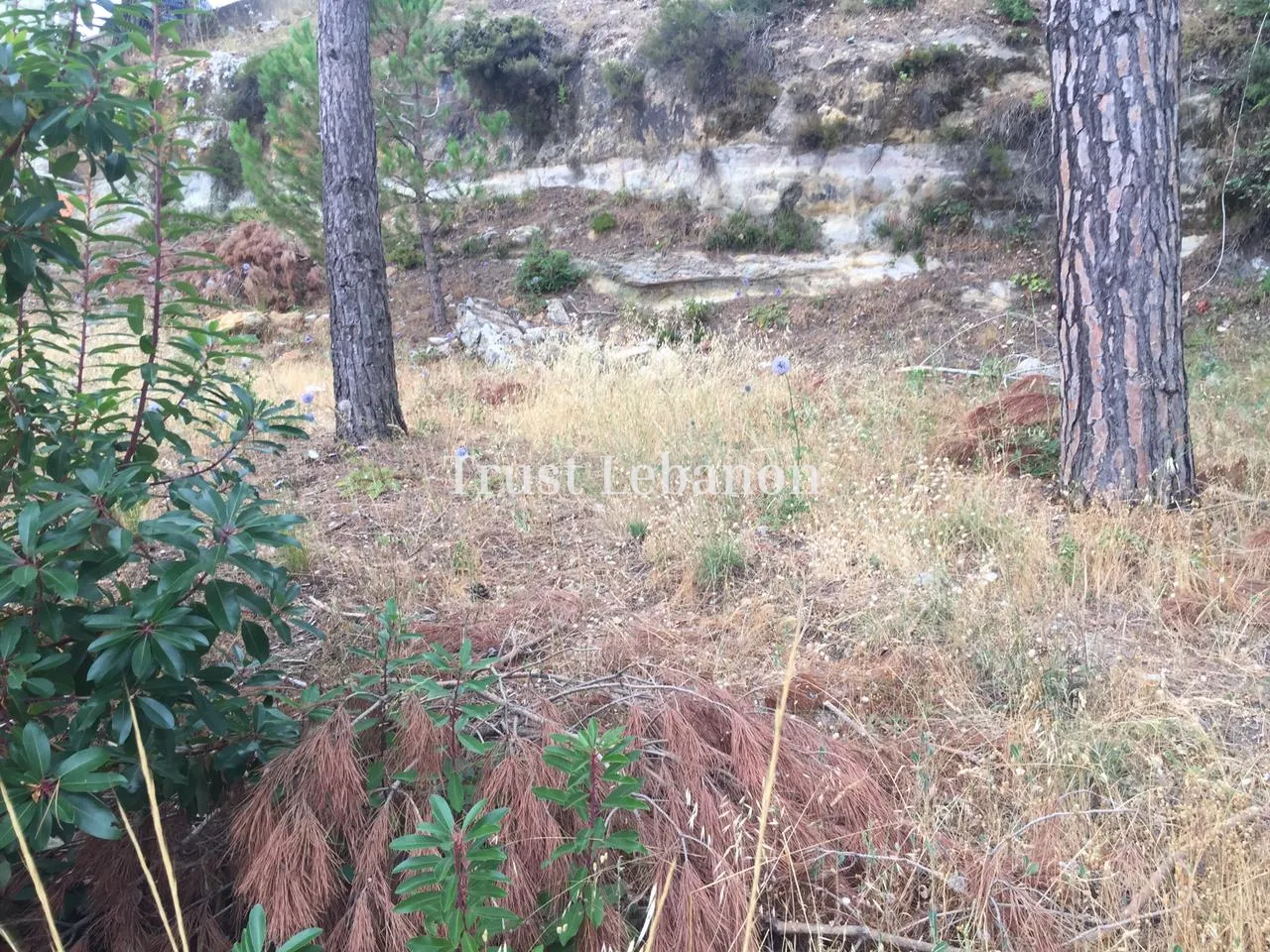 Residential Land for sale in Dhour El Choueir, Lebanon