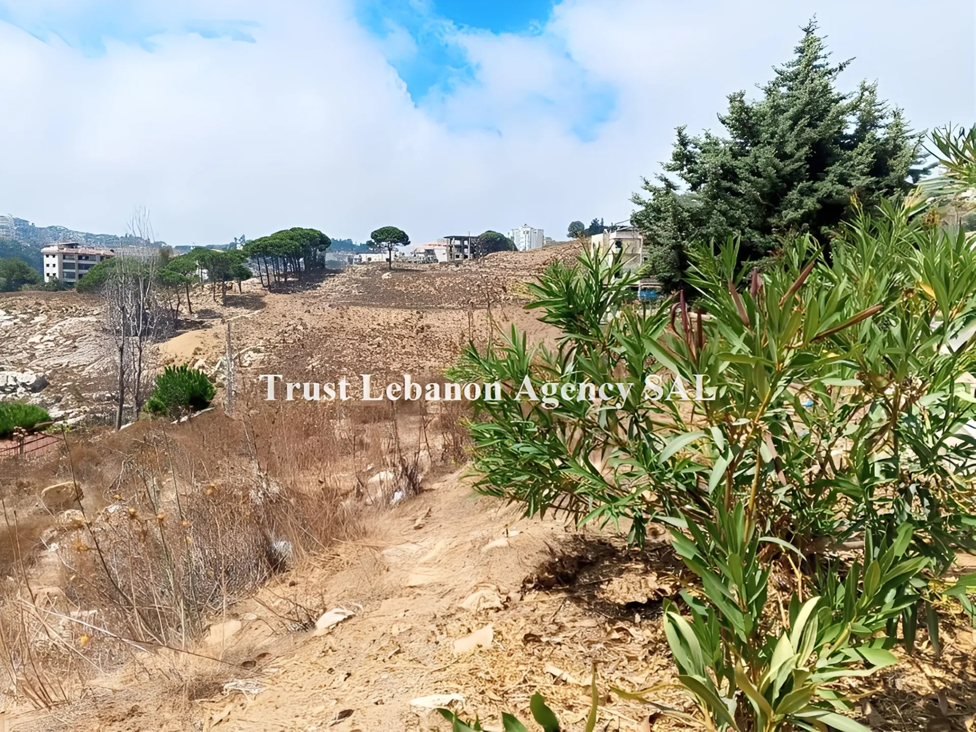 Land for Sale in Souq El Gharb