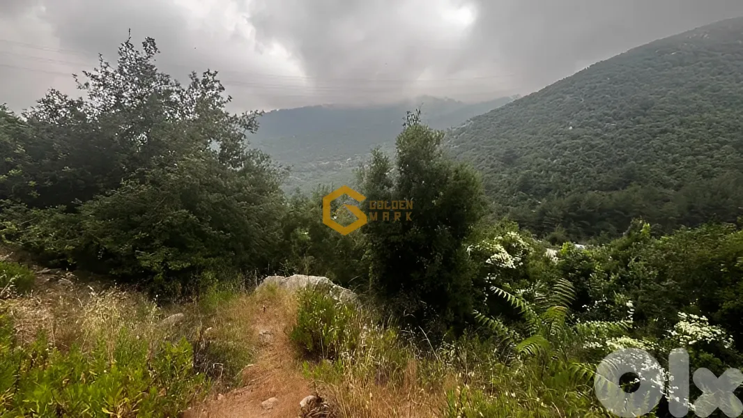 Land for Sale in Horch Hiyata