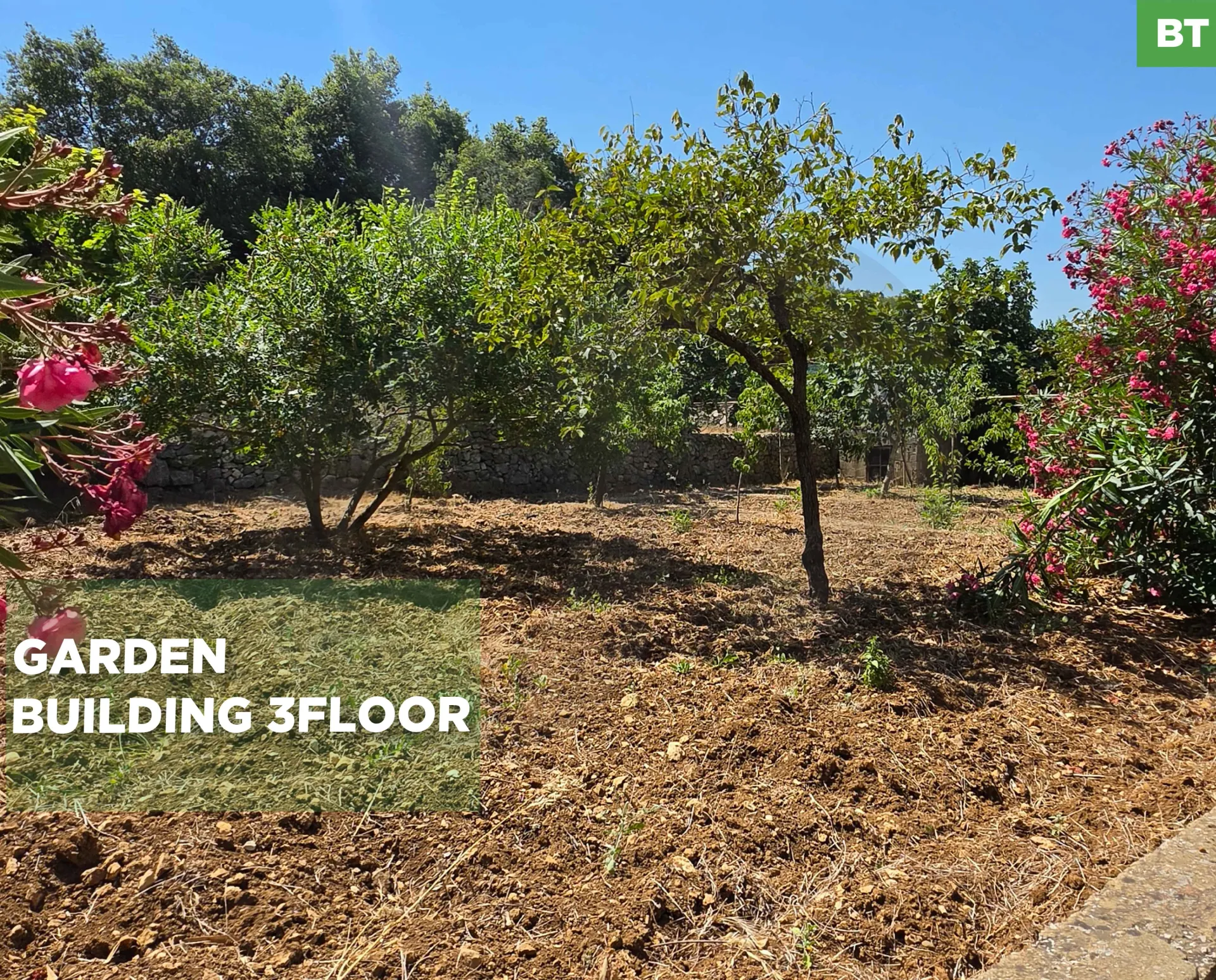 Land for Sale in Ghineh