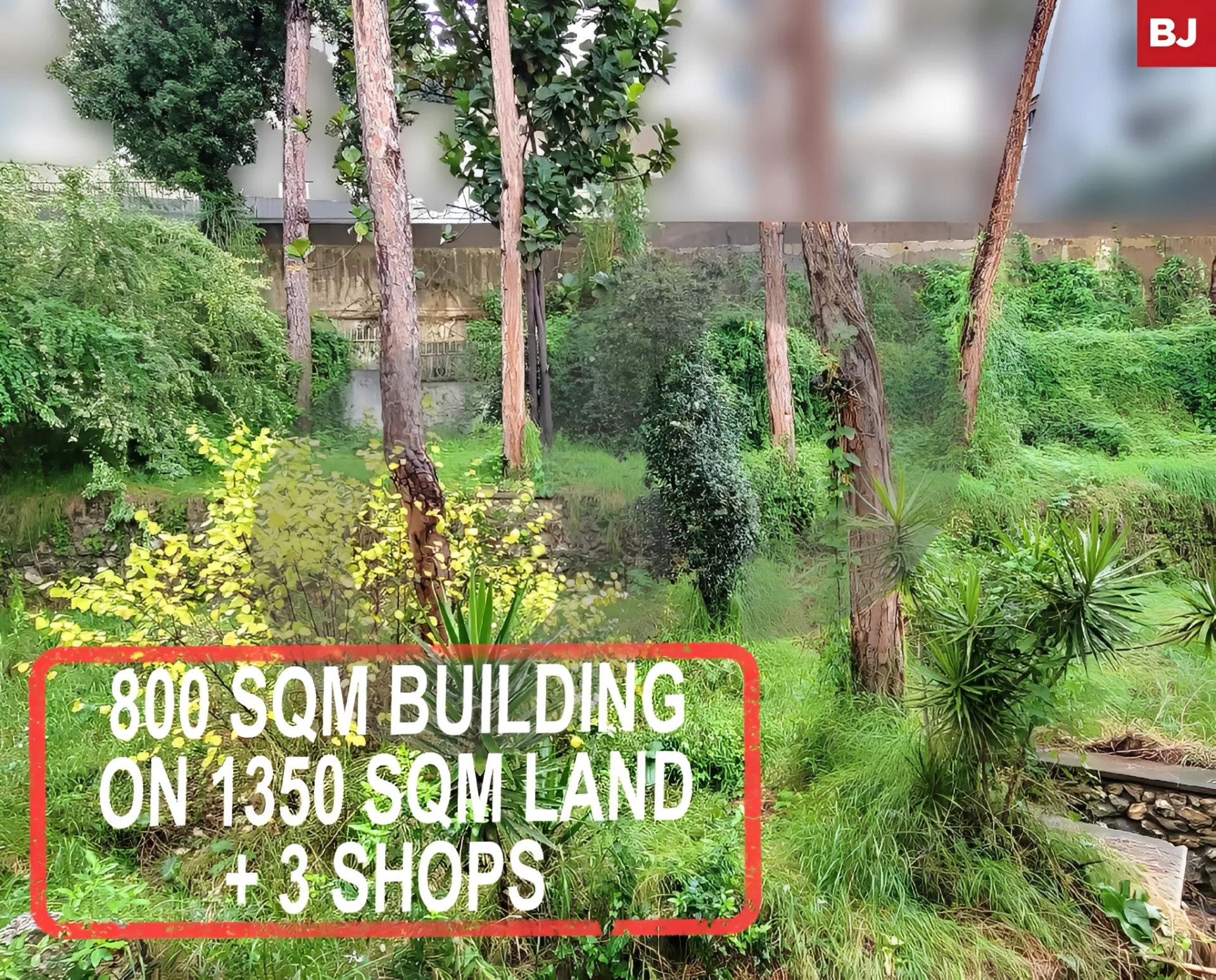 Building for Sale in Sahel Alma