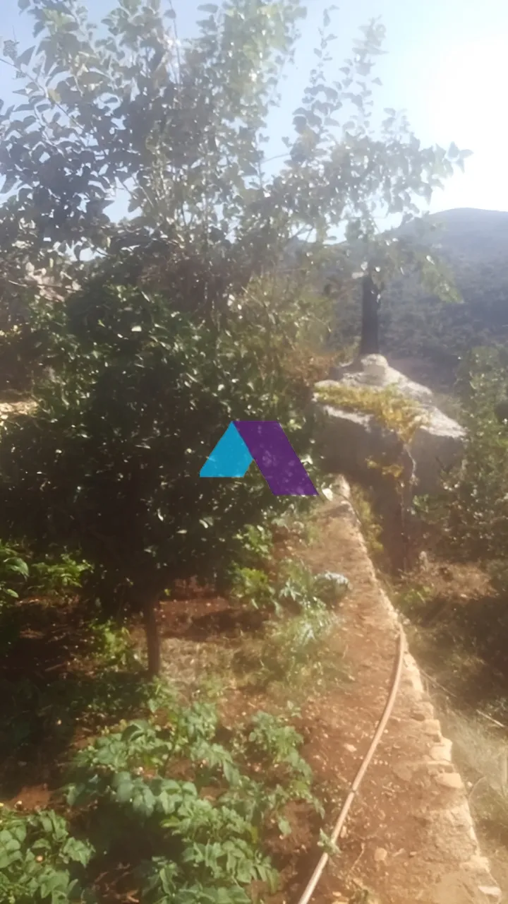 Villa for Sale in Tannourine