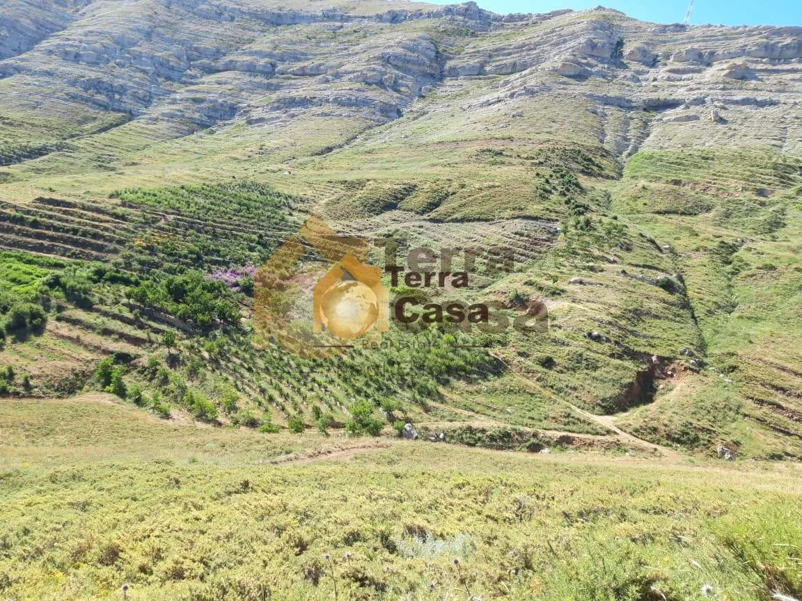 Land for sale in Tannourine Batroun North, Lebanon