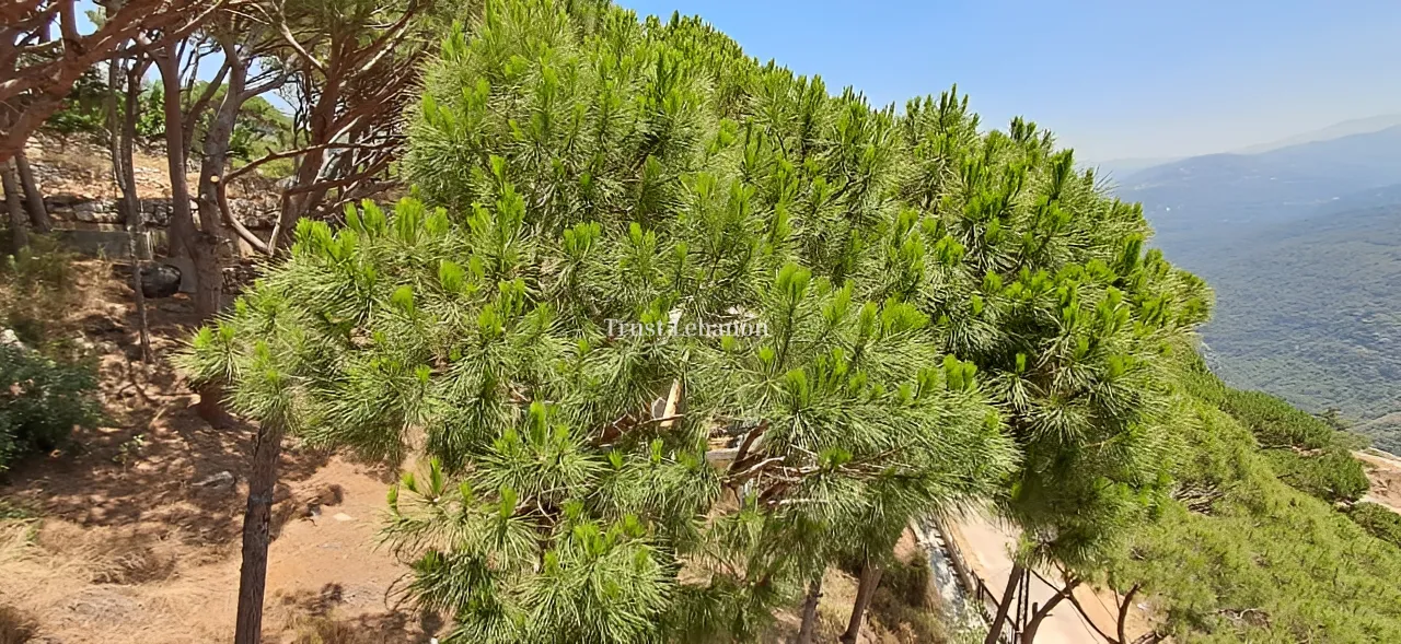 Residential Land for sale in Broummana, Lebanon