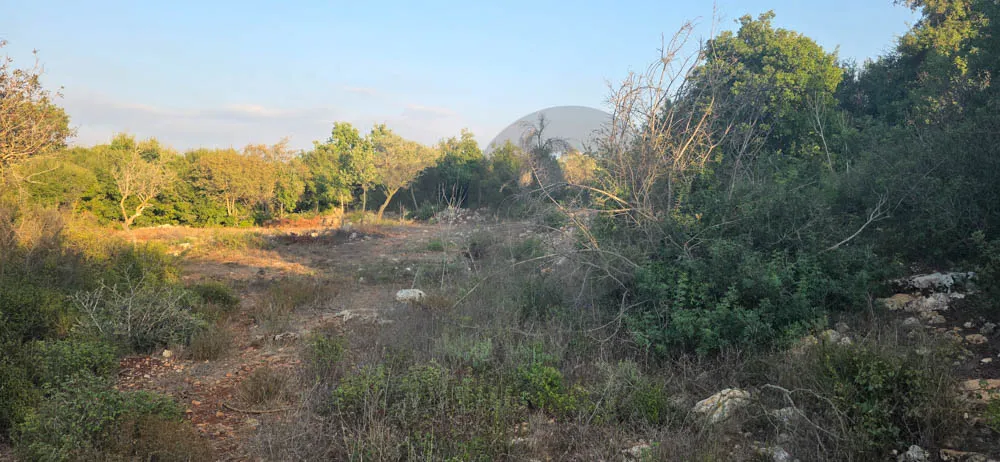 Land for Sale in Koura