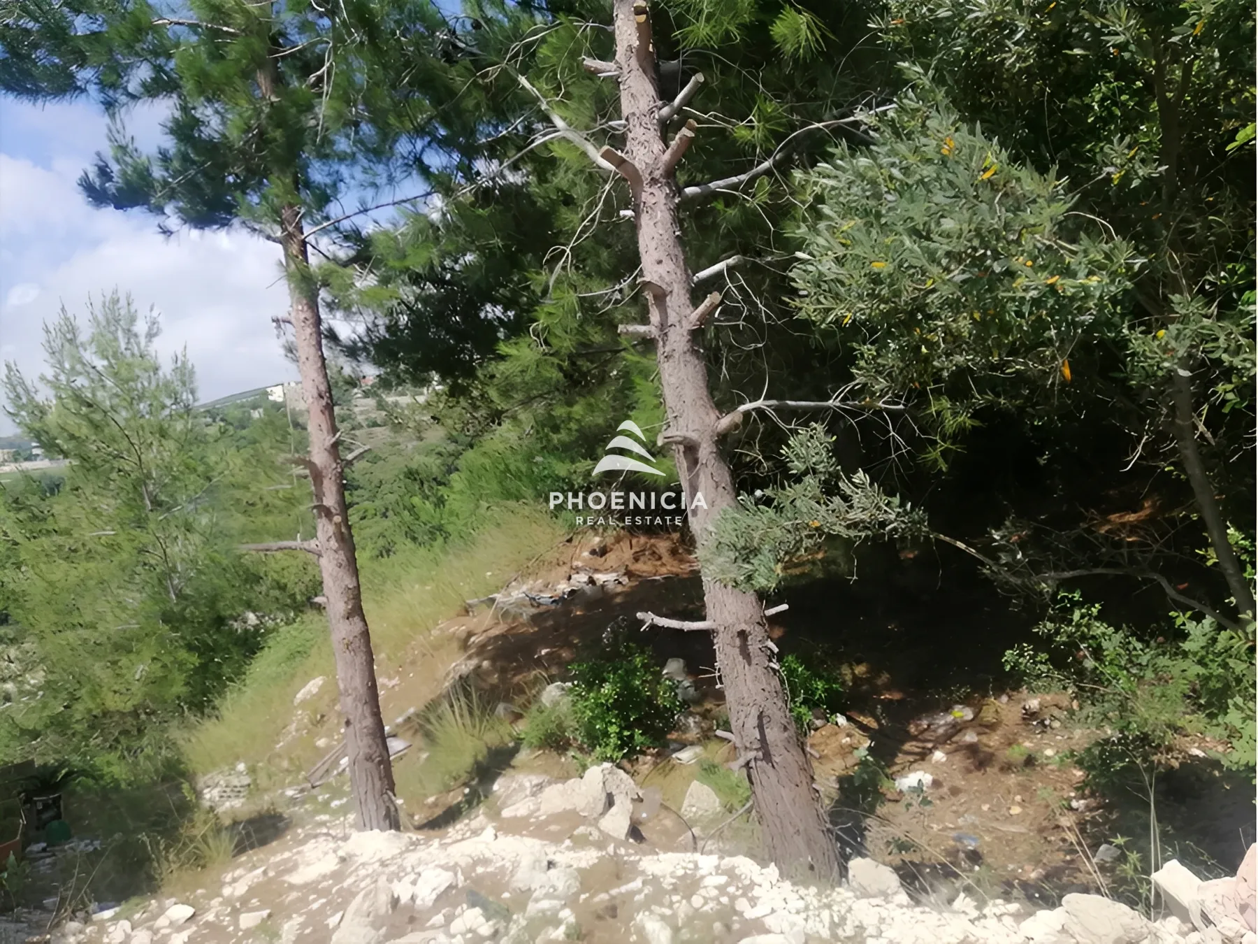 Land for Sale in Blat