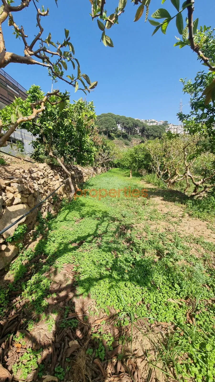Residential Land for Rent in Kahaleh