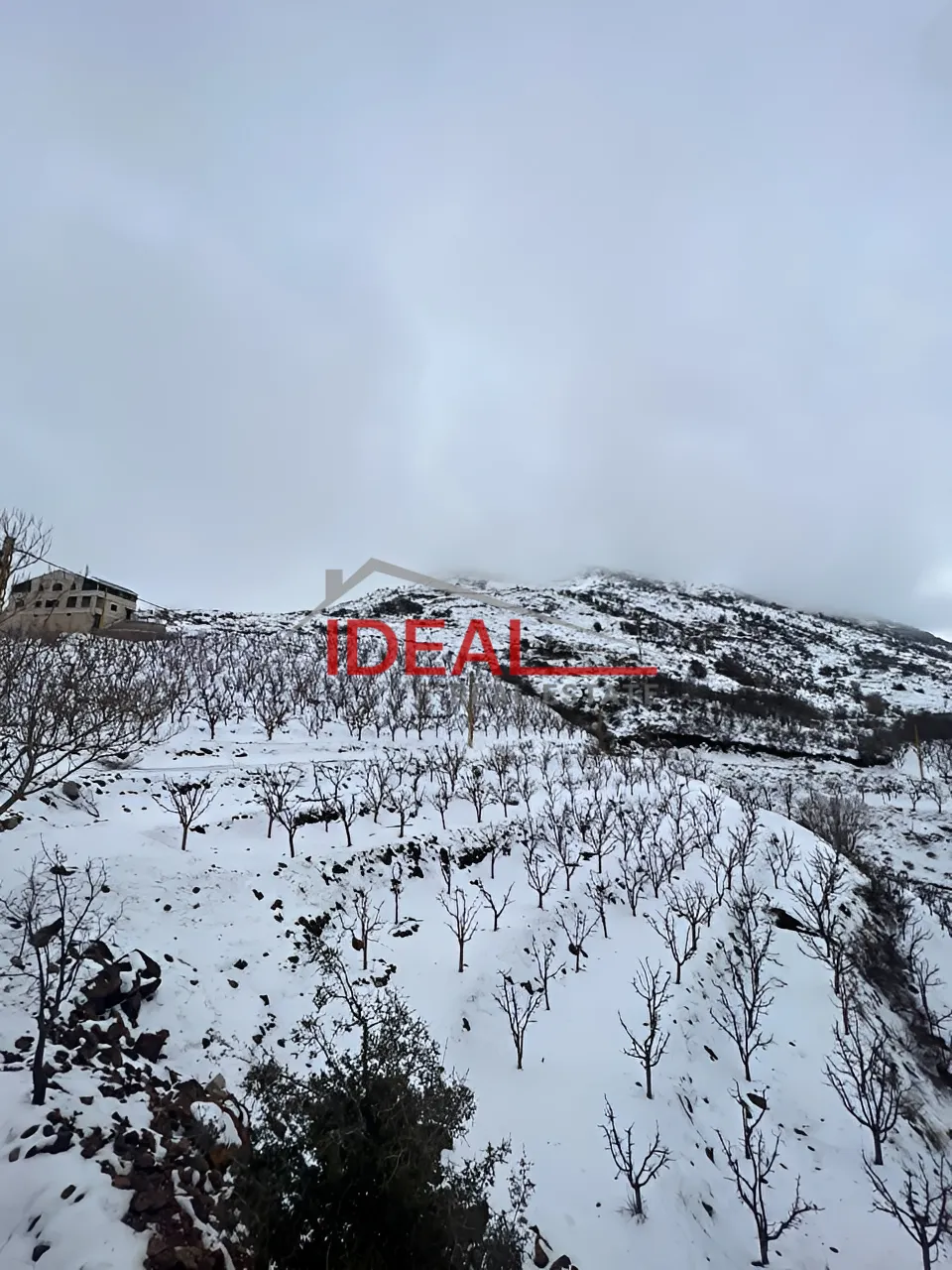 Land for Sale in Tannourine El Tahta