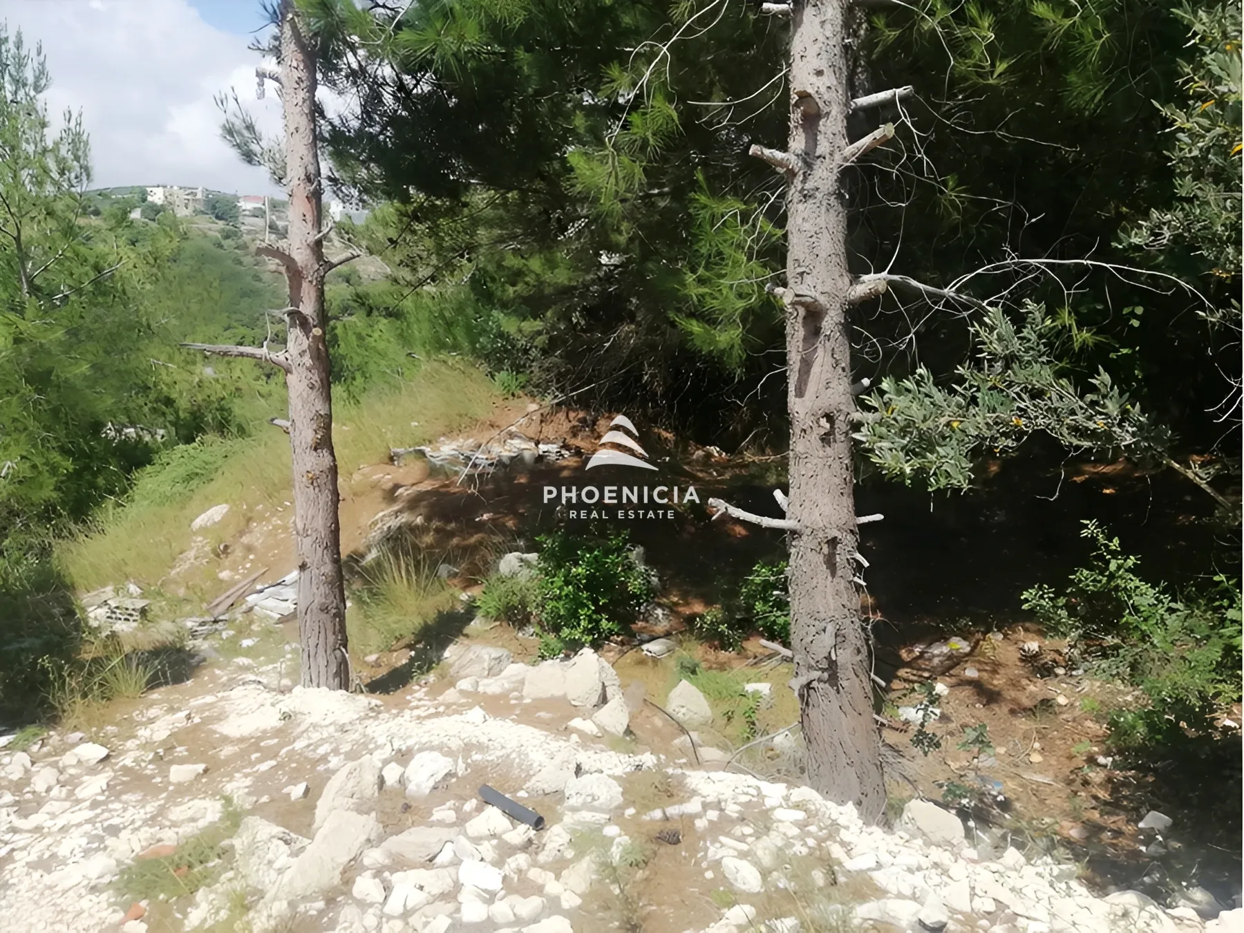Land for Sale in Blat