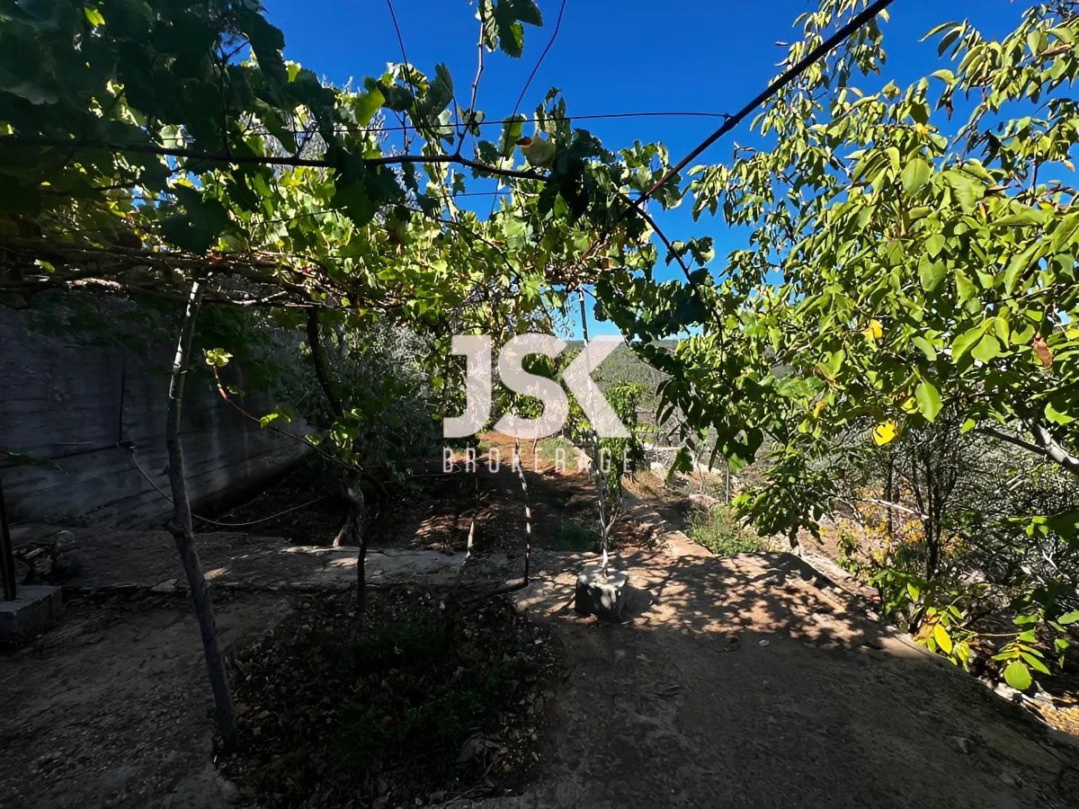 Land for Sale in Bkifa, Lebanon