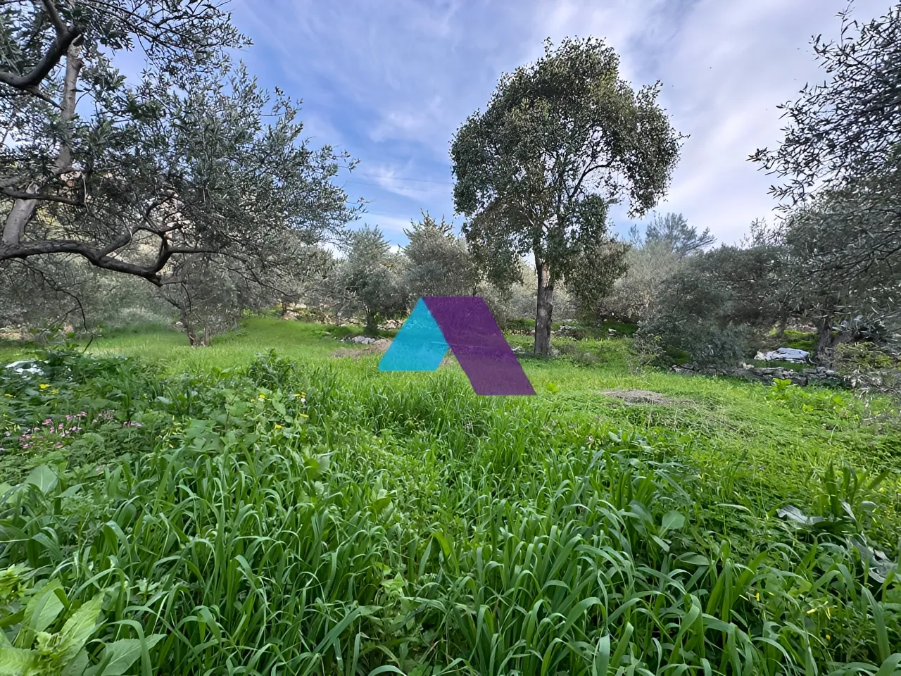Land for Sale in Aamchit
