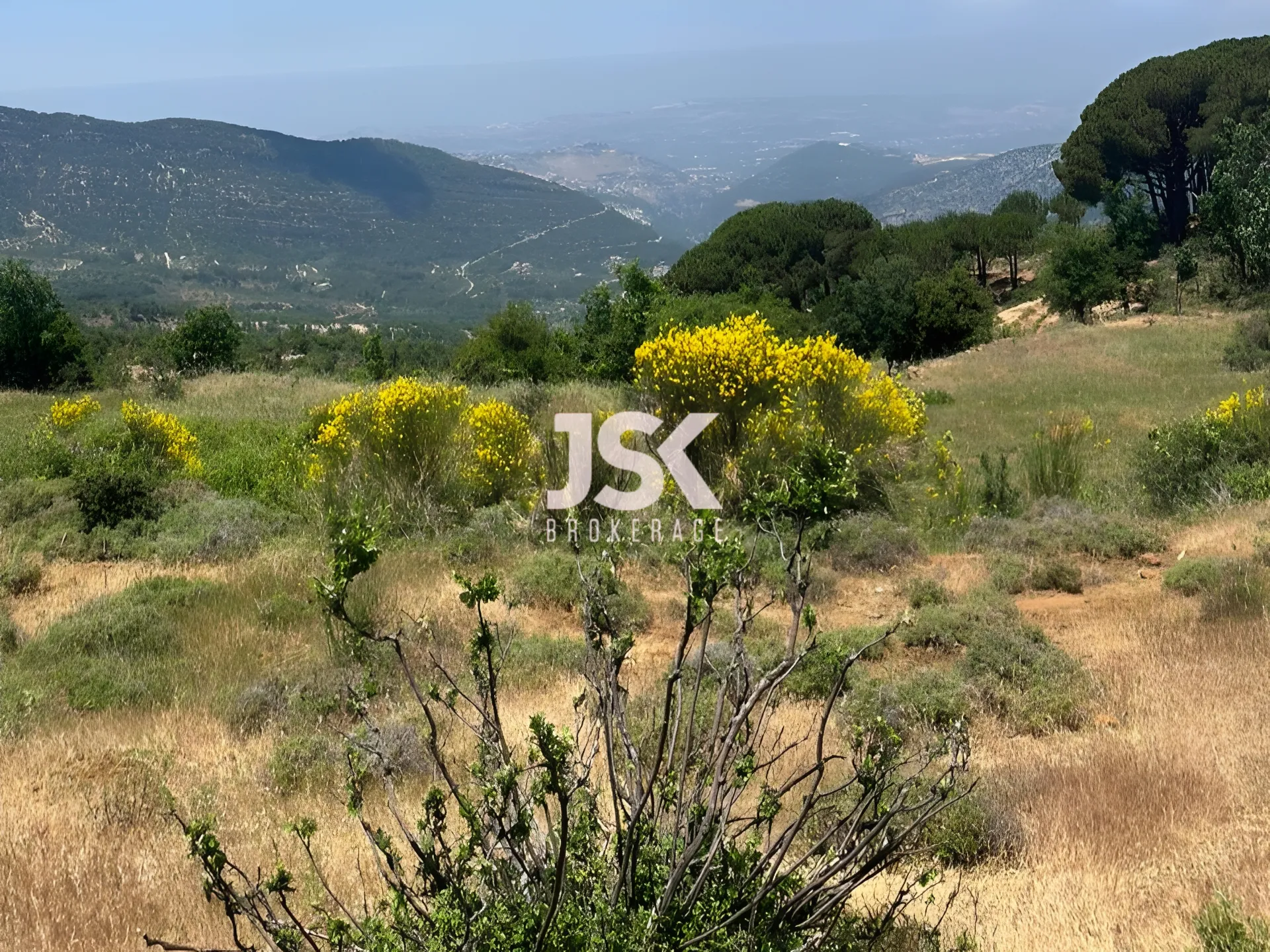 Land for Sale in Bsharri