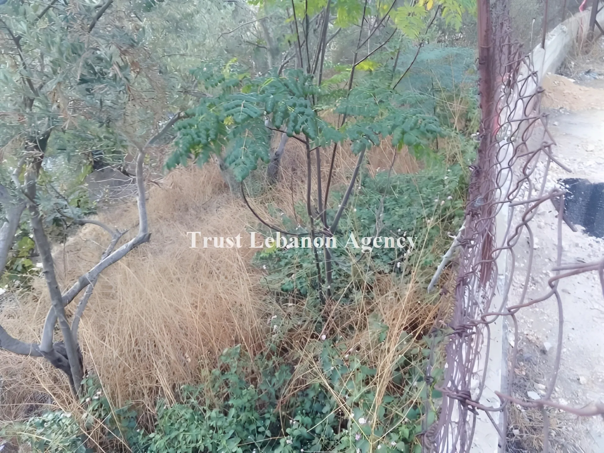 Land for Sale in Alay, chweifat