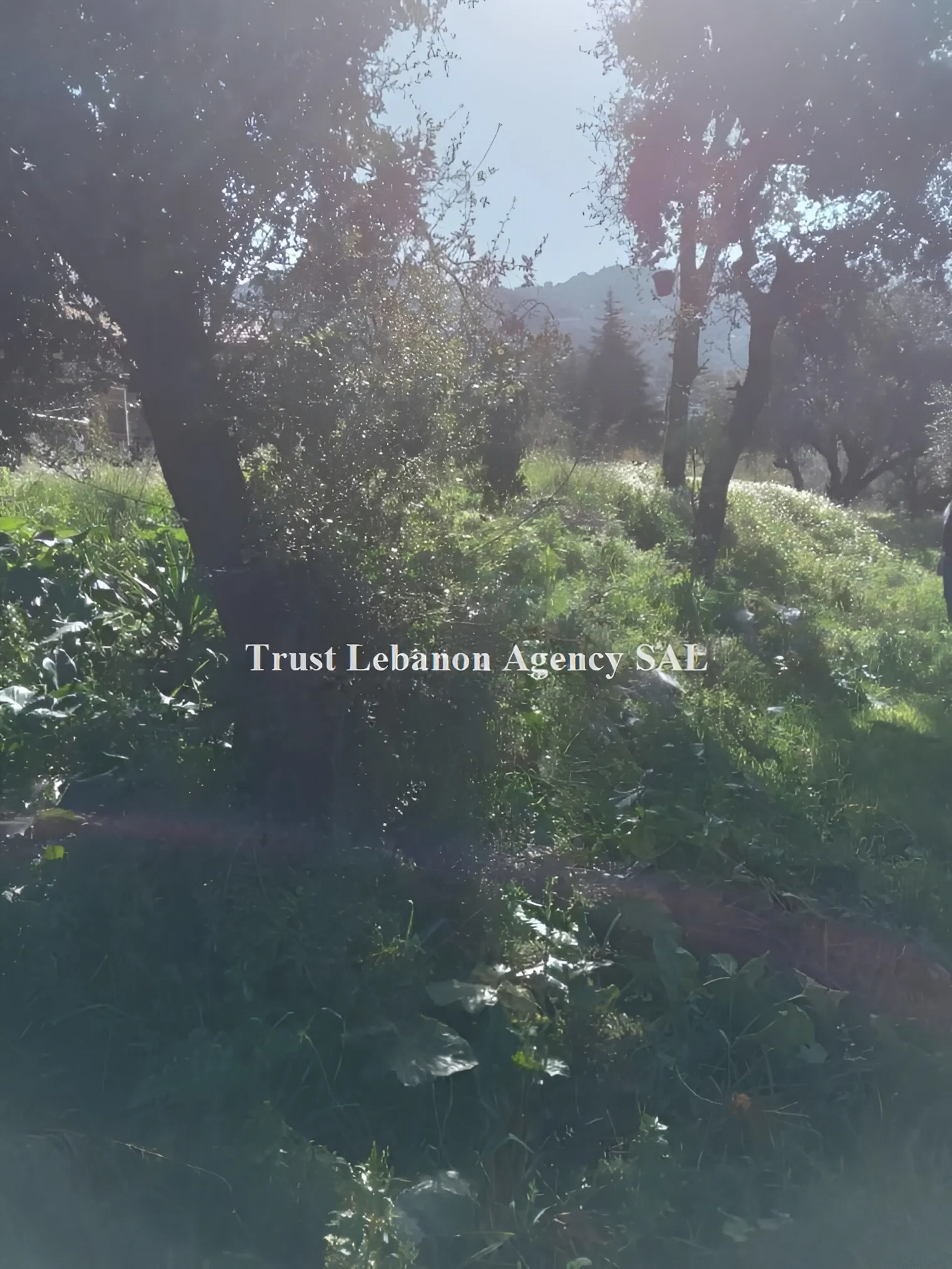 Land for Sale in Metn Miyesseh Lebanon