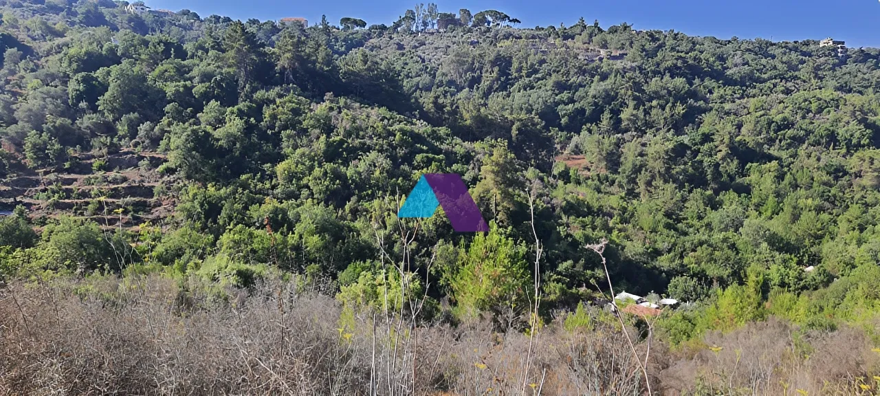 Land for Sale in Dibbiyeh