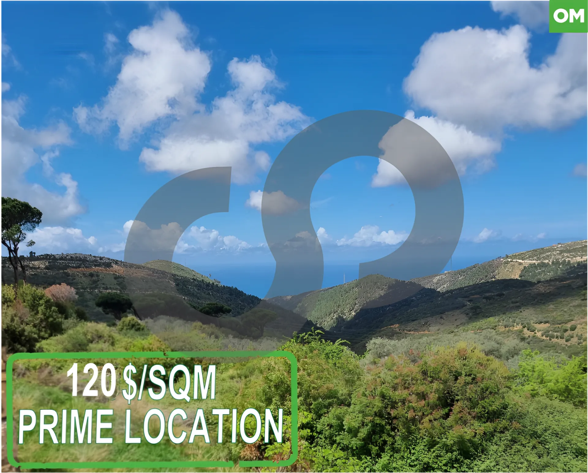 Land for Sale in Daqqoun, Lebanon