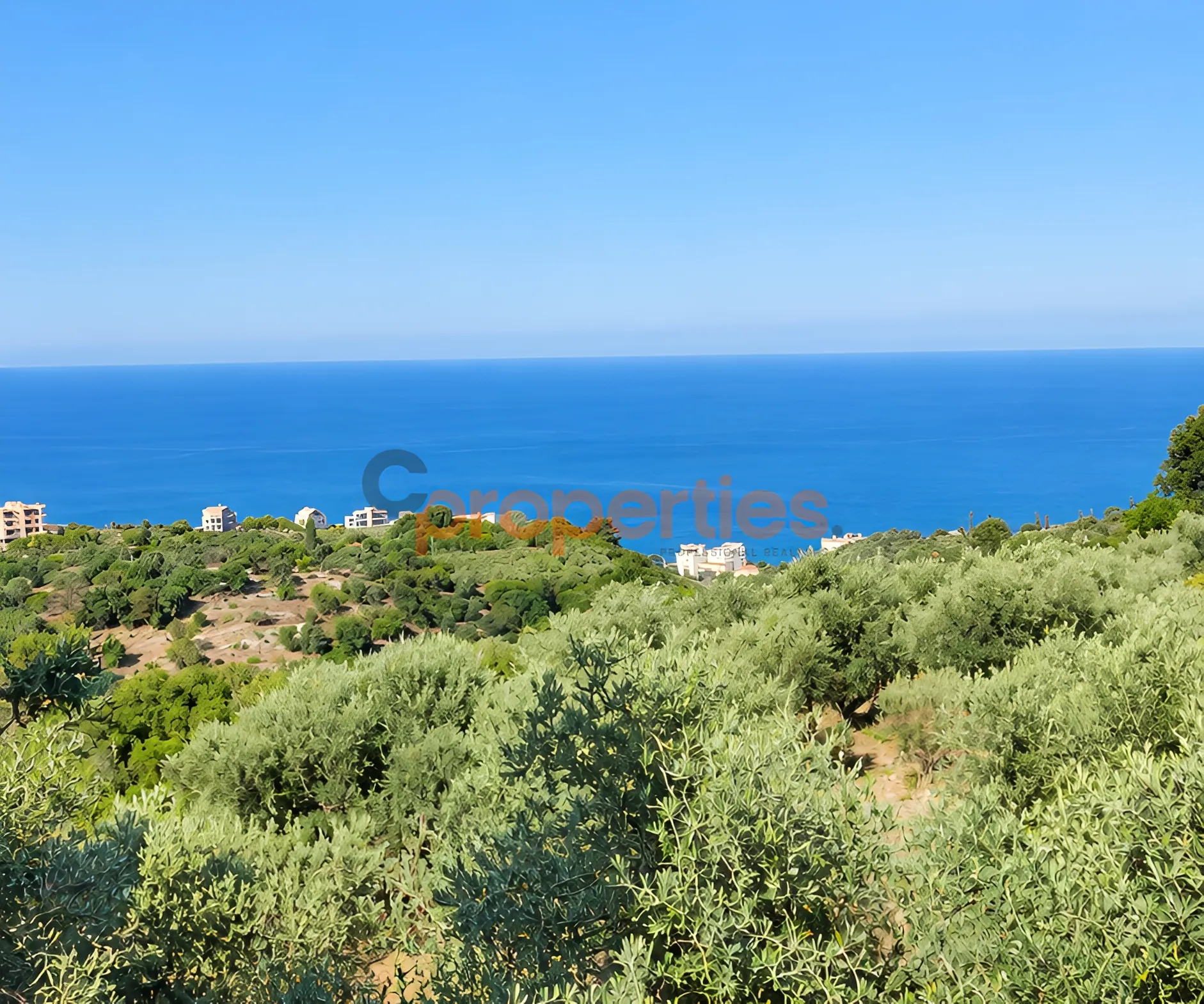 Residential Land for Sale in Monsef
